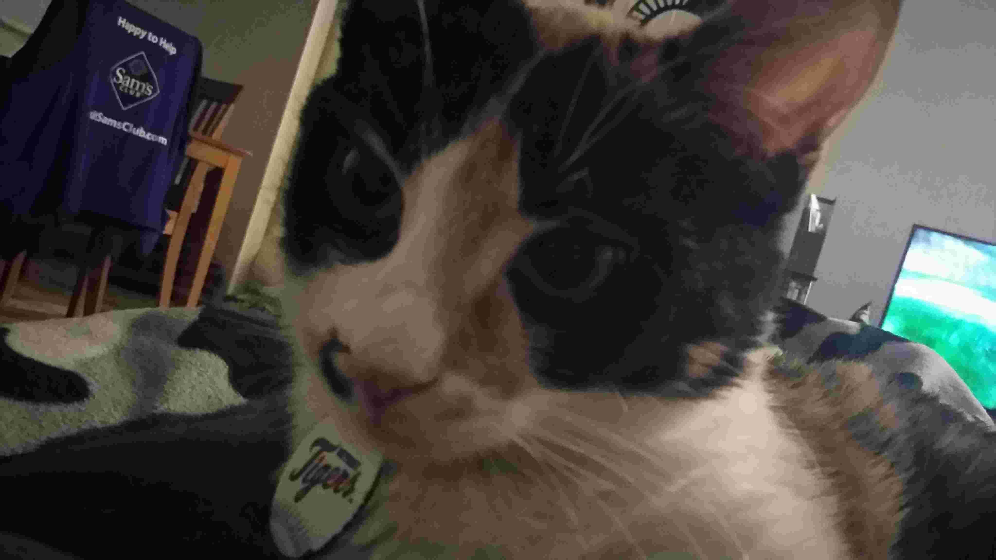 Question details sensitive content