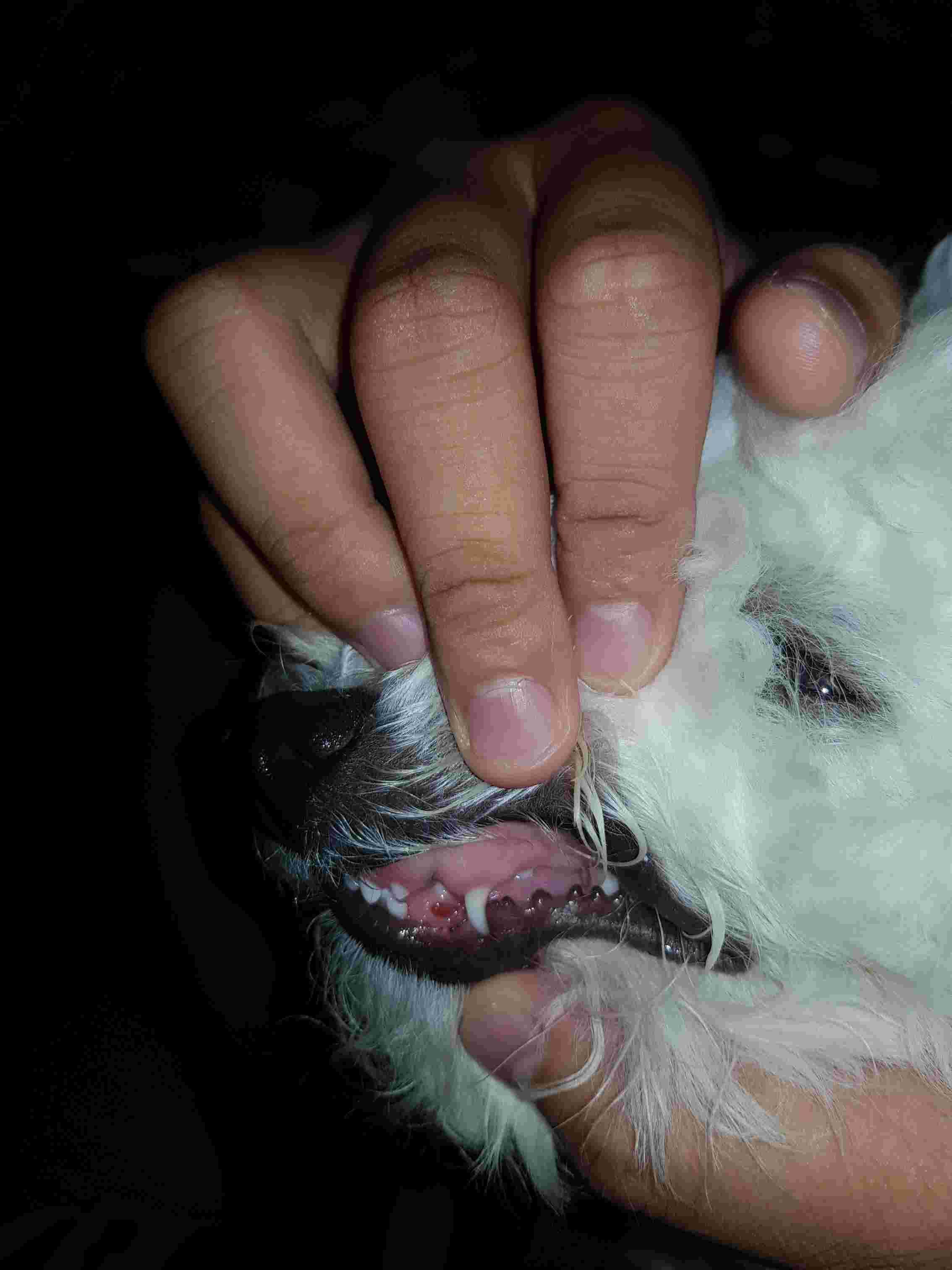 Question details sensitive content