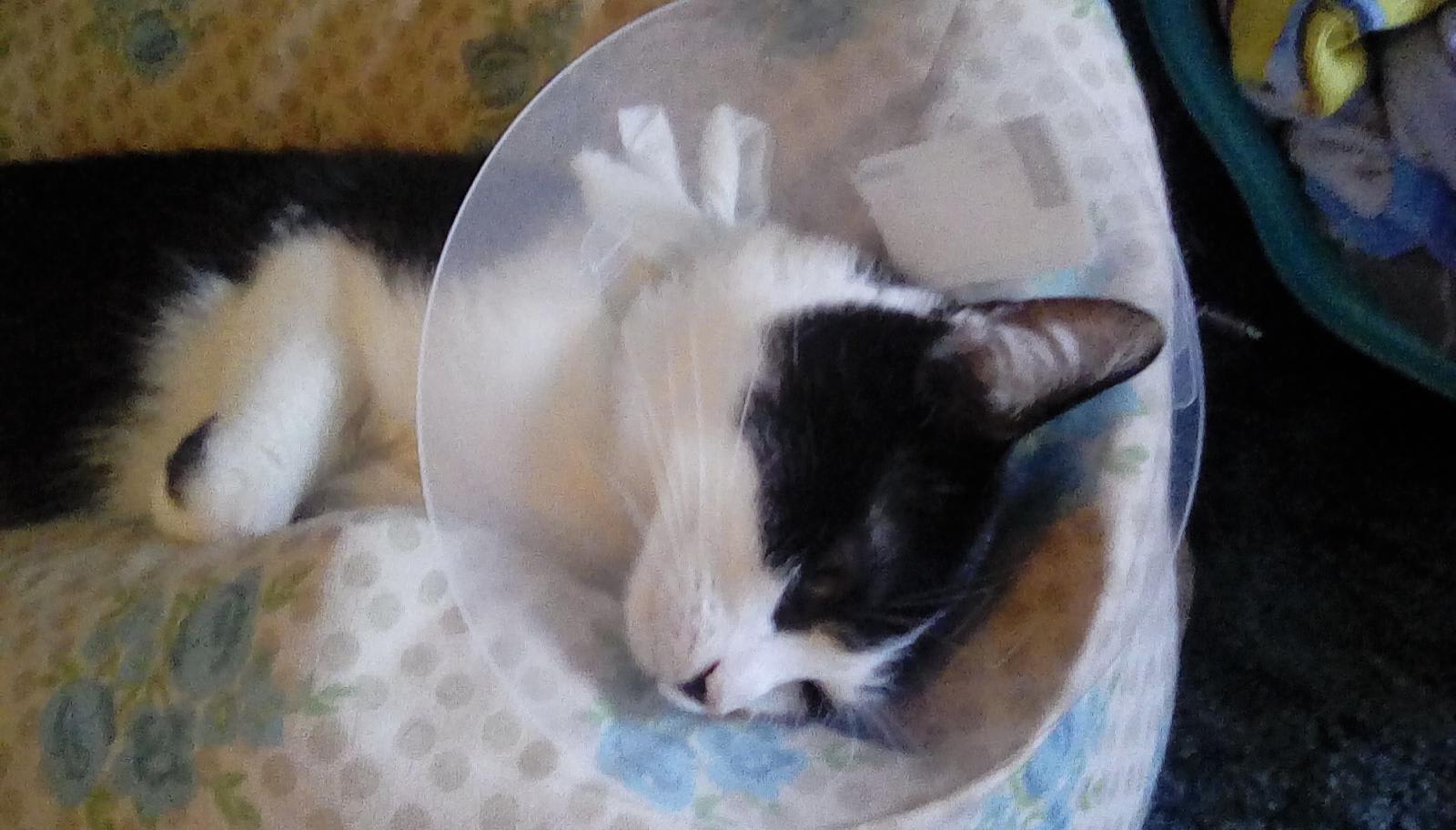 Question details sensitive content