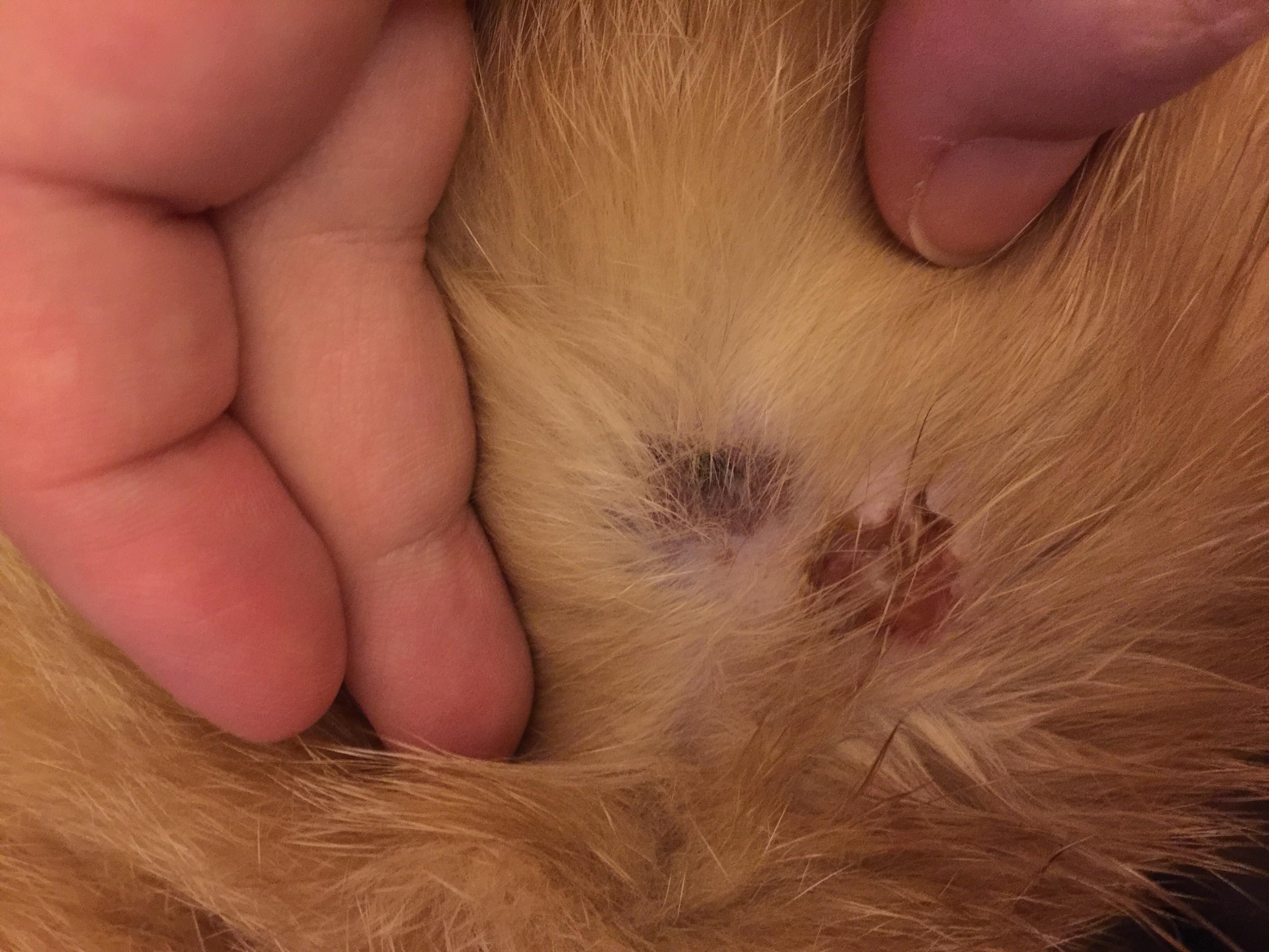 Question details sensitive content