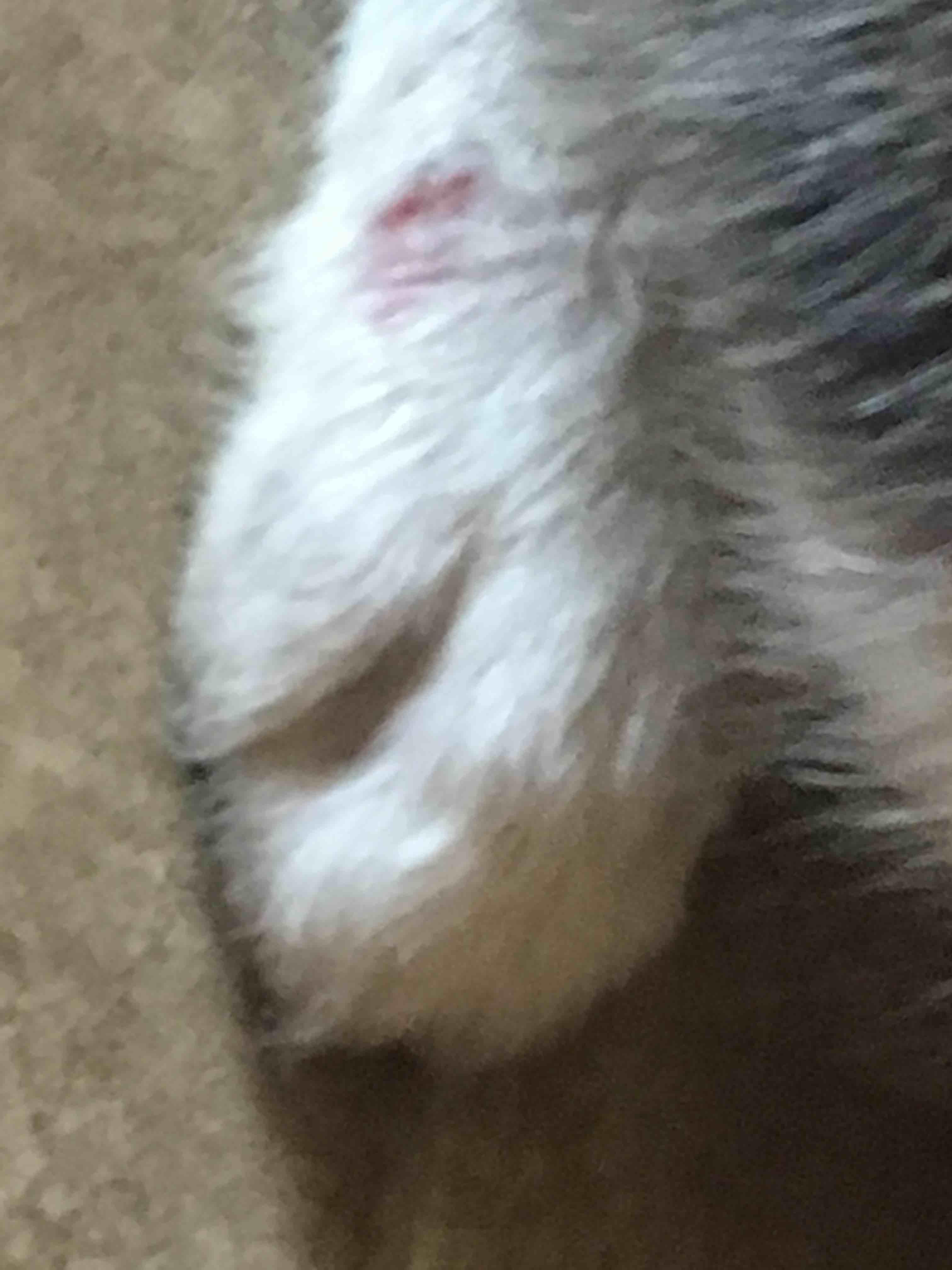 Question details sensitive content