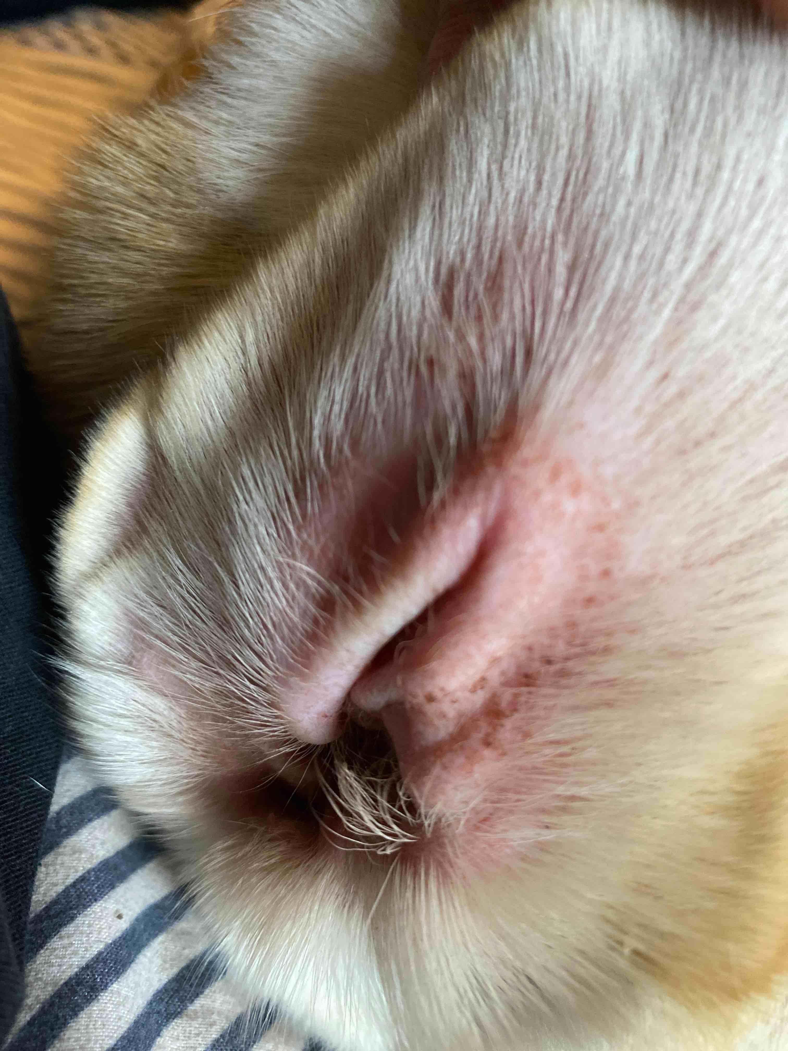 Question details sensitive content