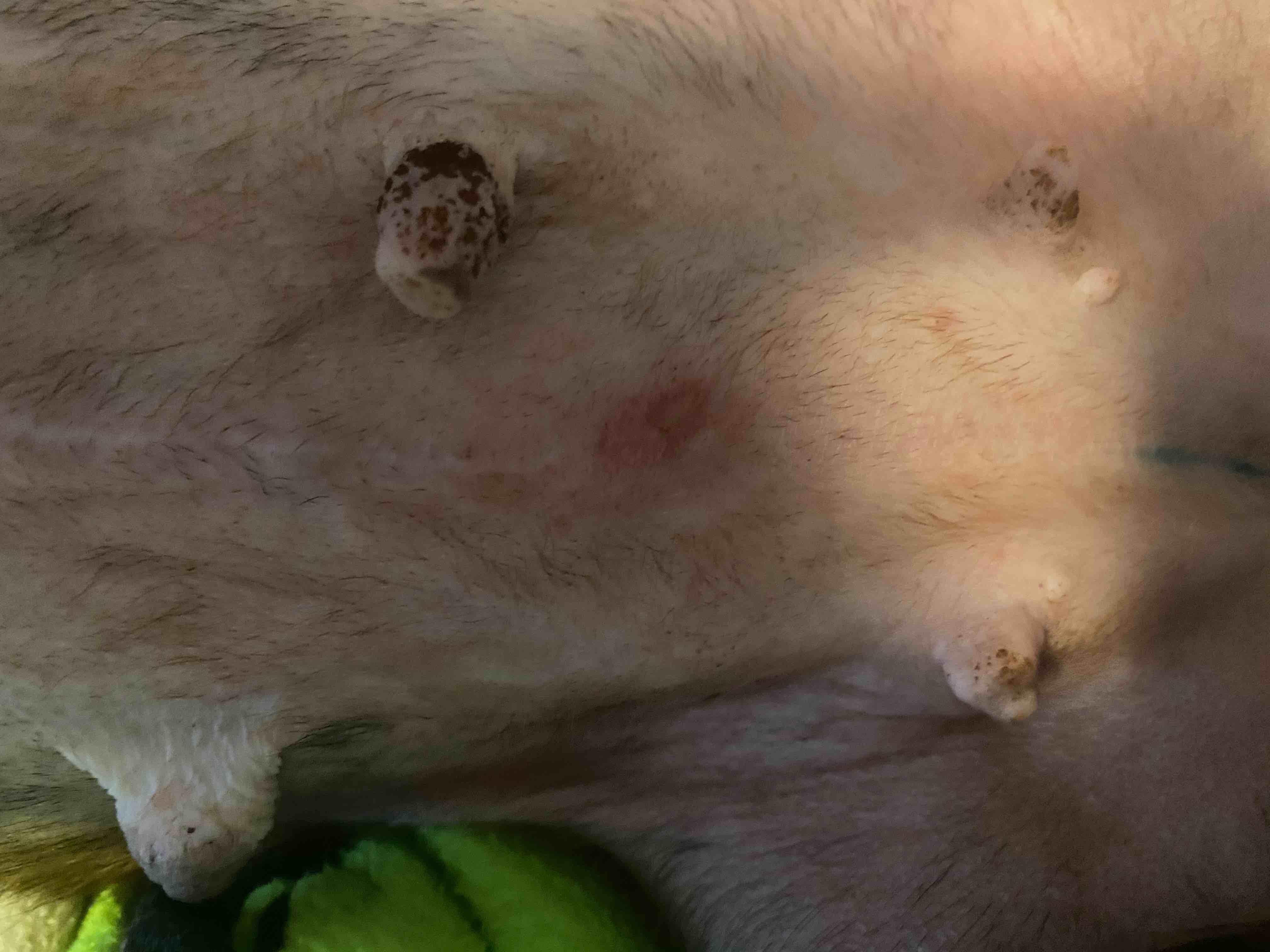 Question details sensitive content