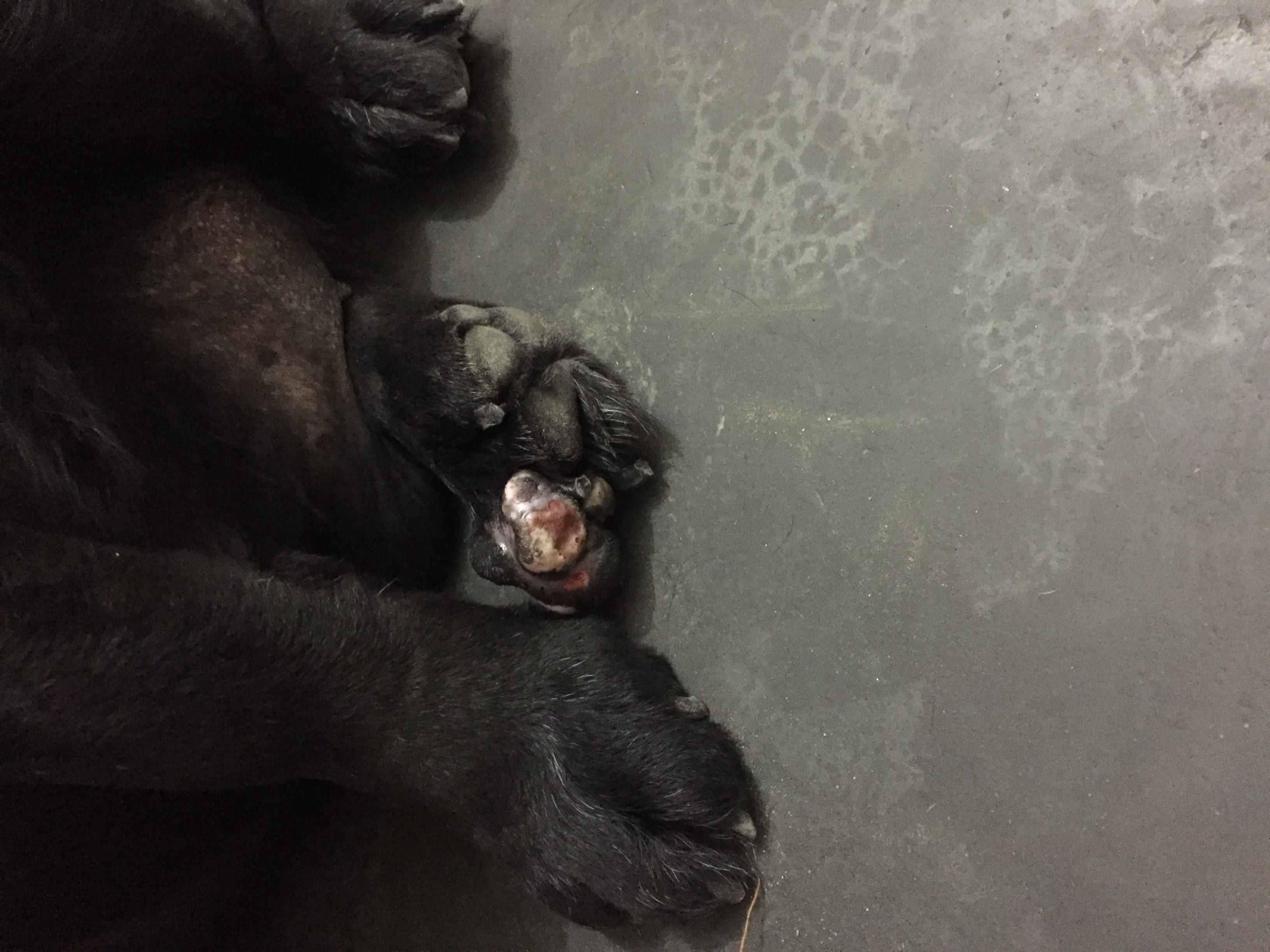 Question details sensitive content