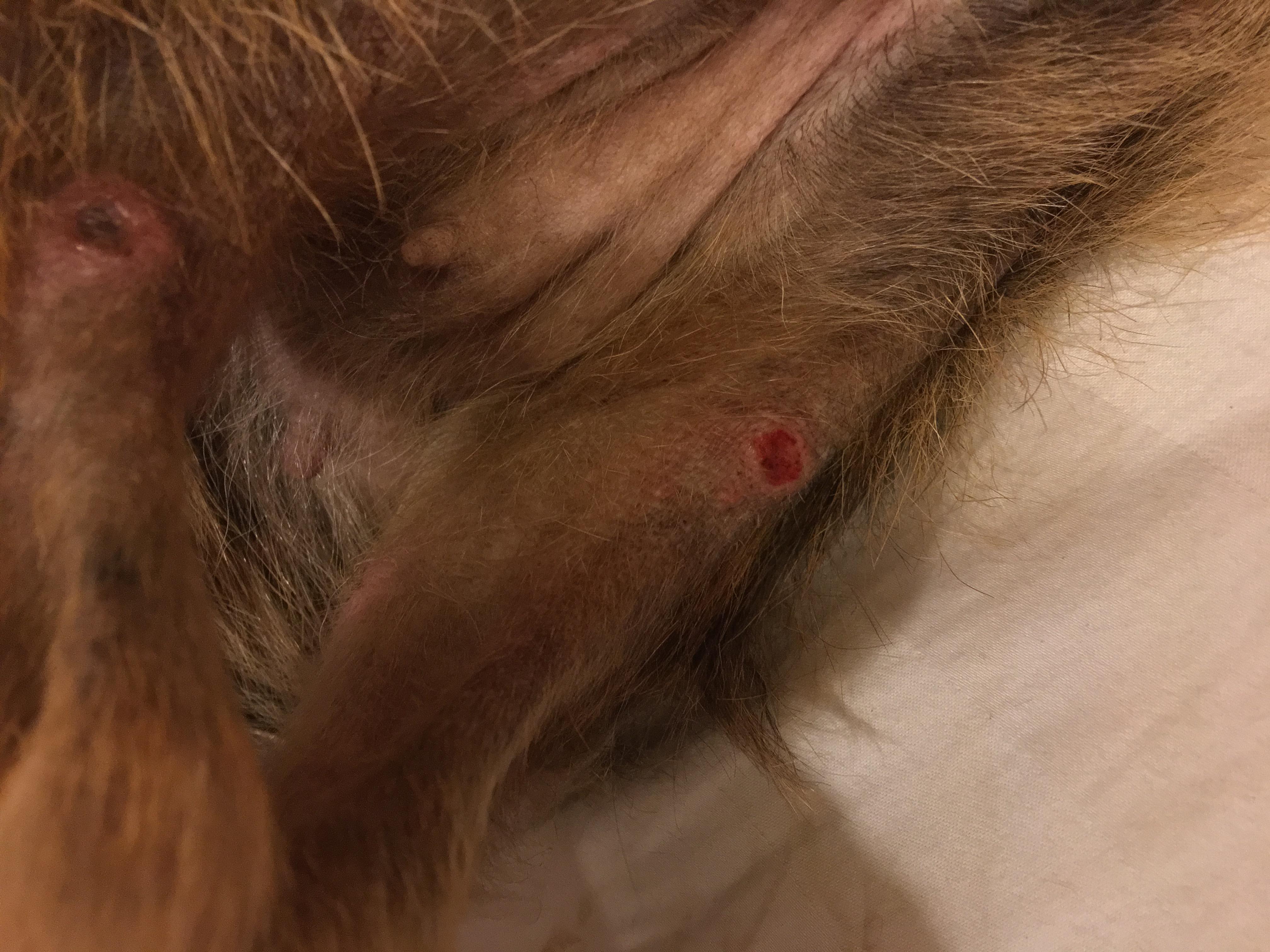 Question details sensitive content