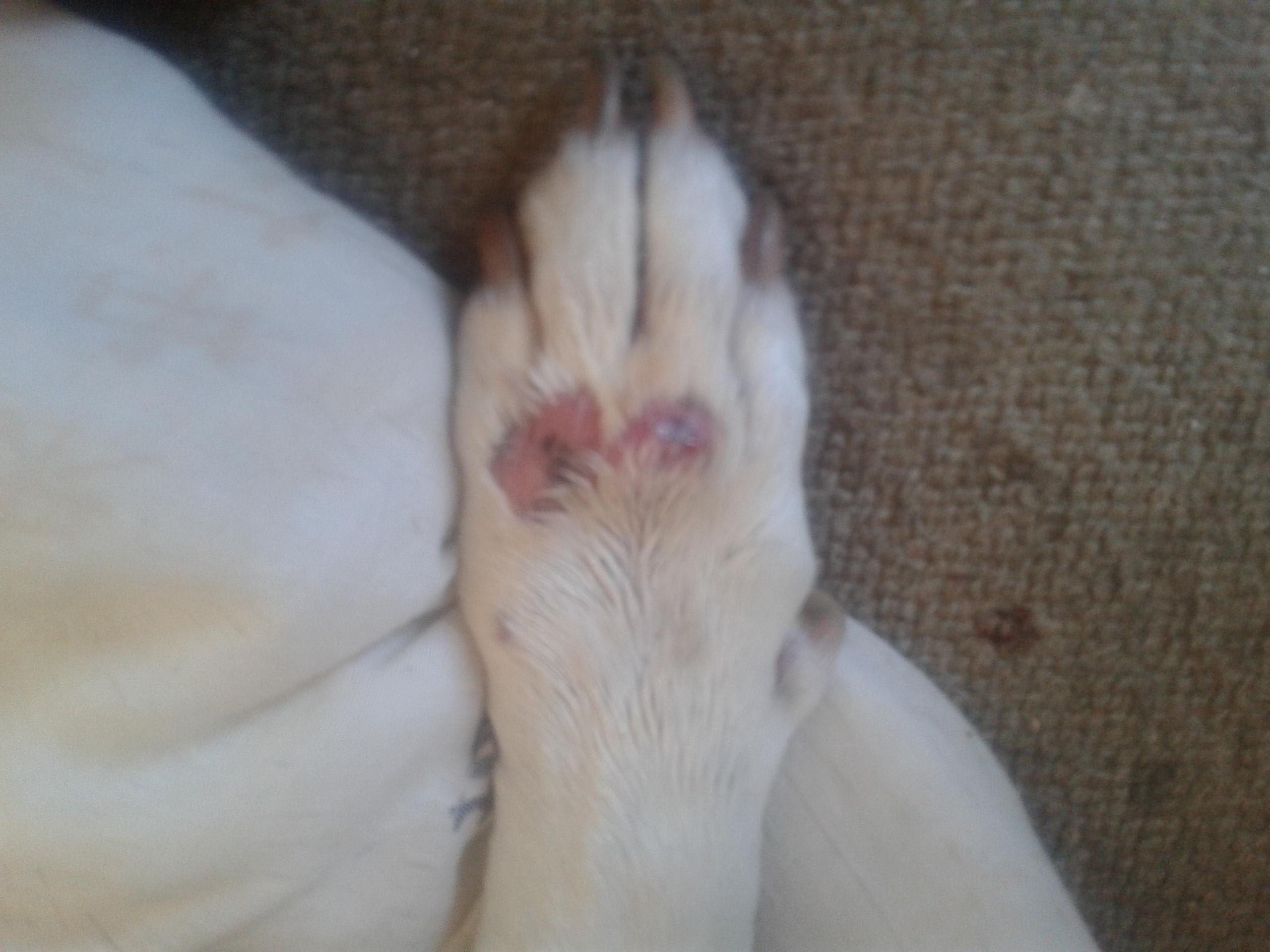 Question details sensitive content