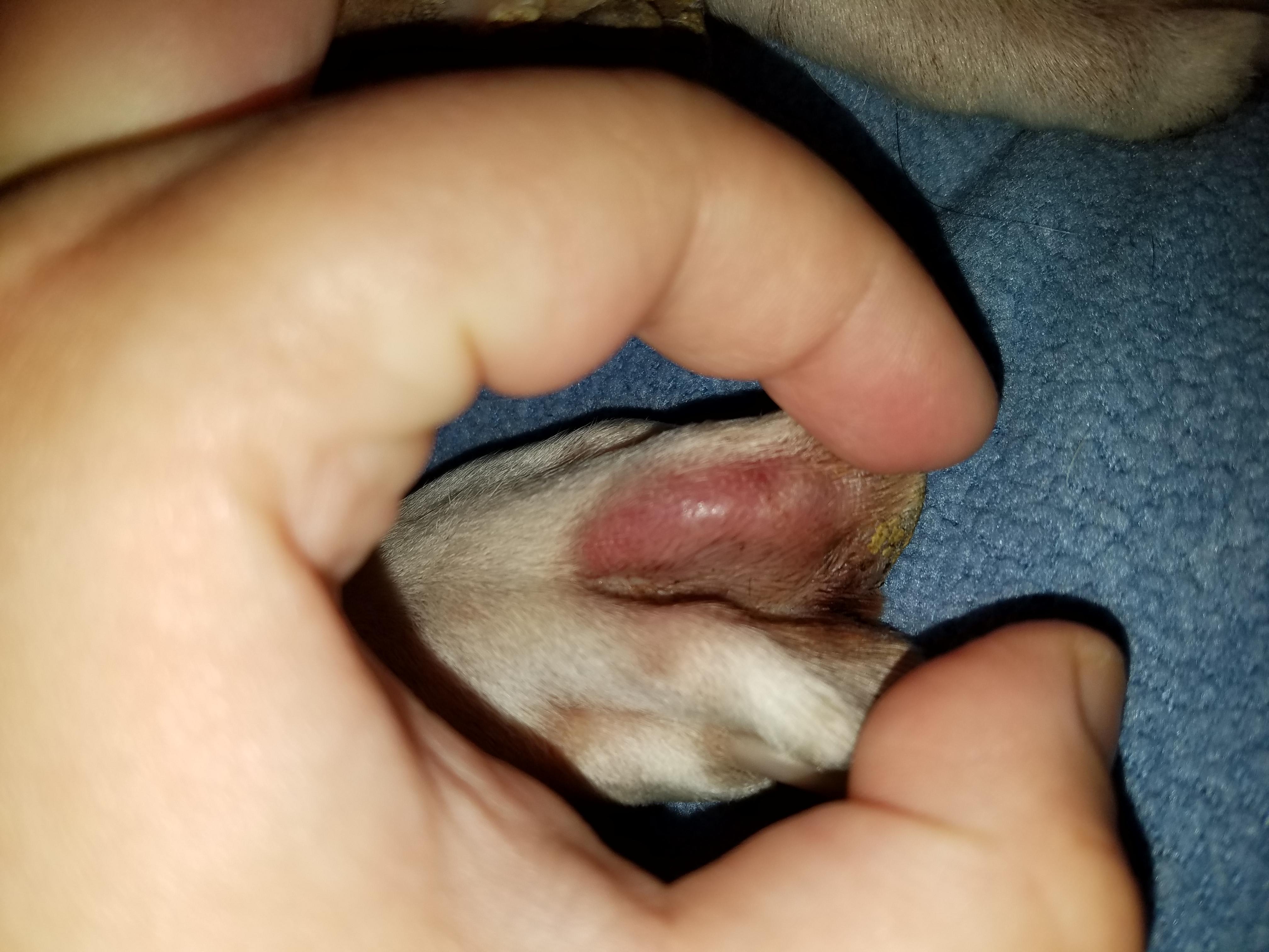 Question details sensitive content