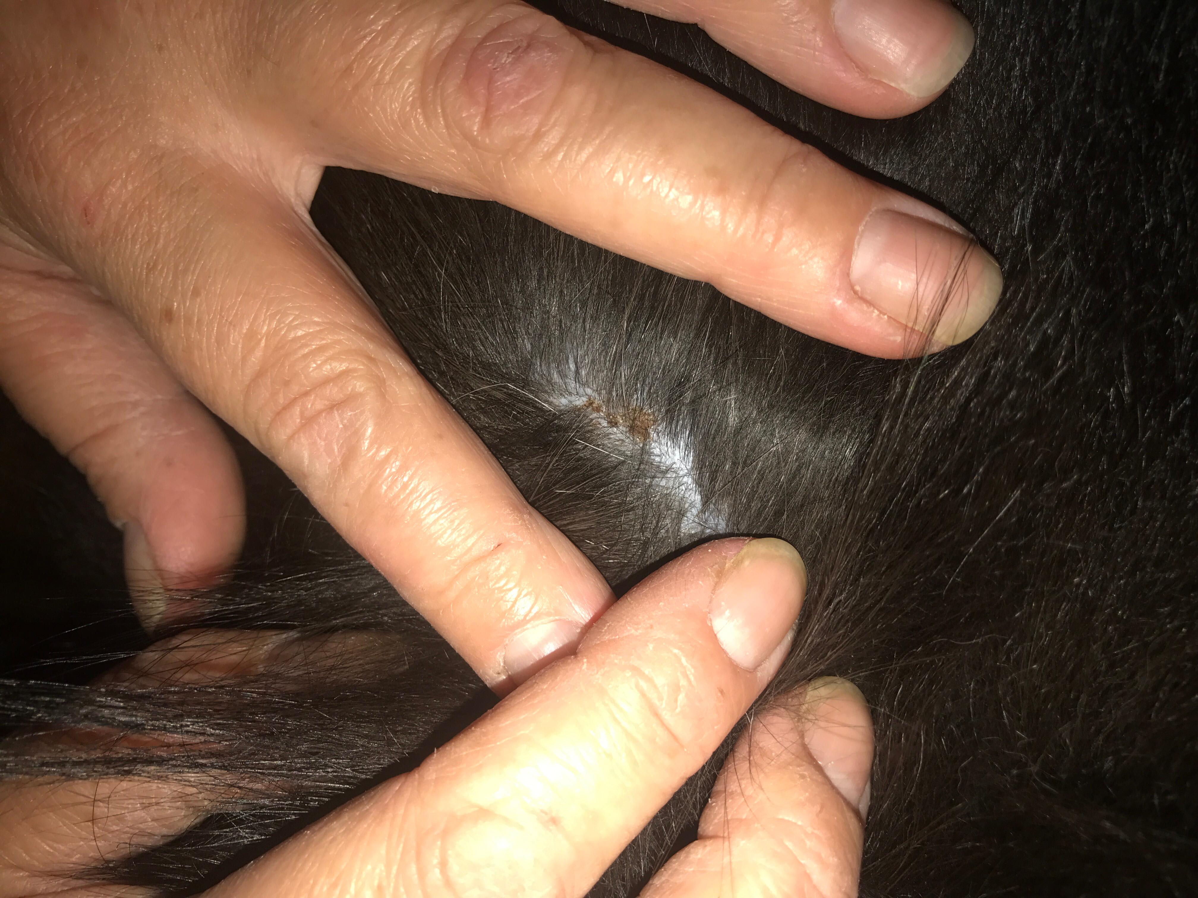 Question details sensitive content