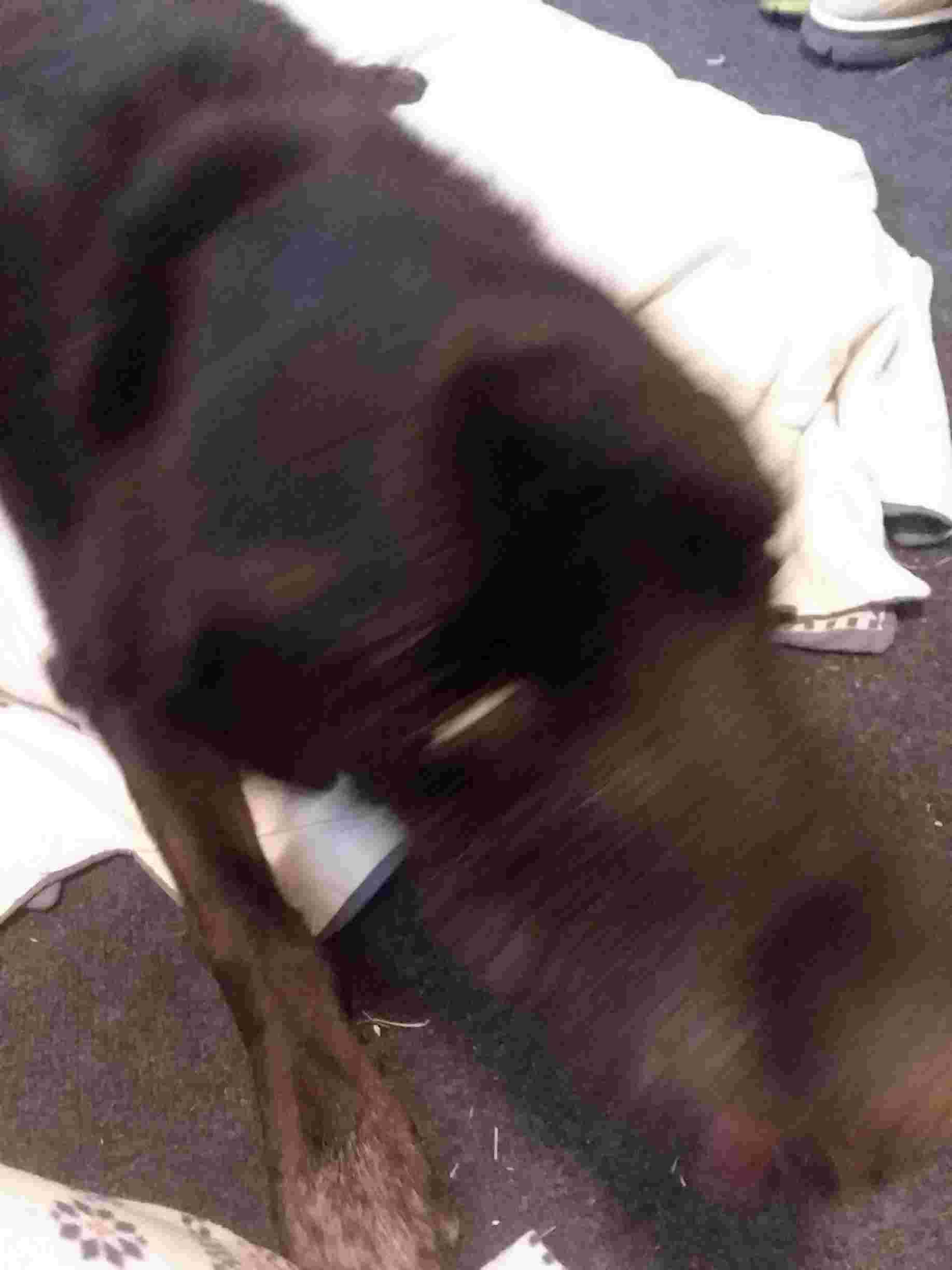 Question details sensitive content