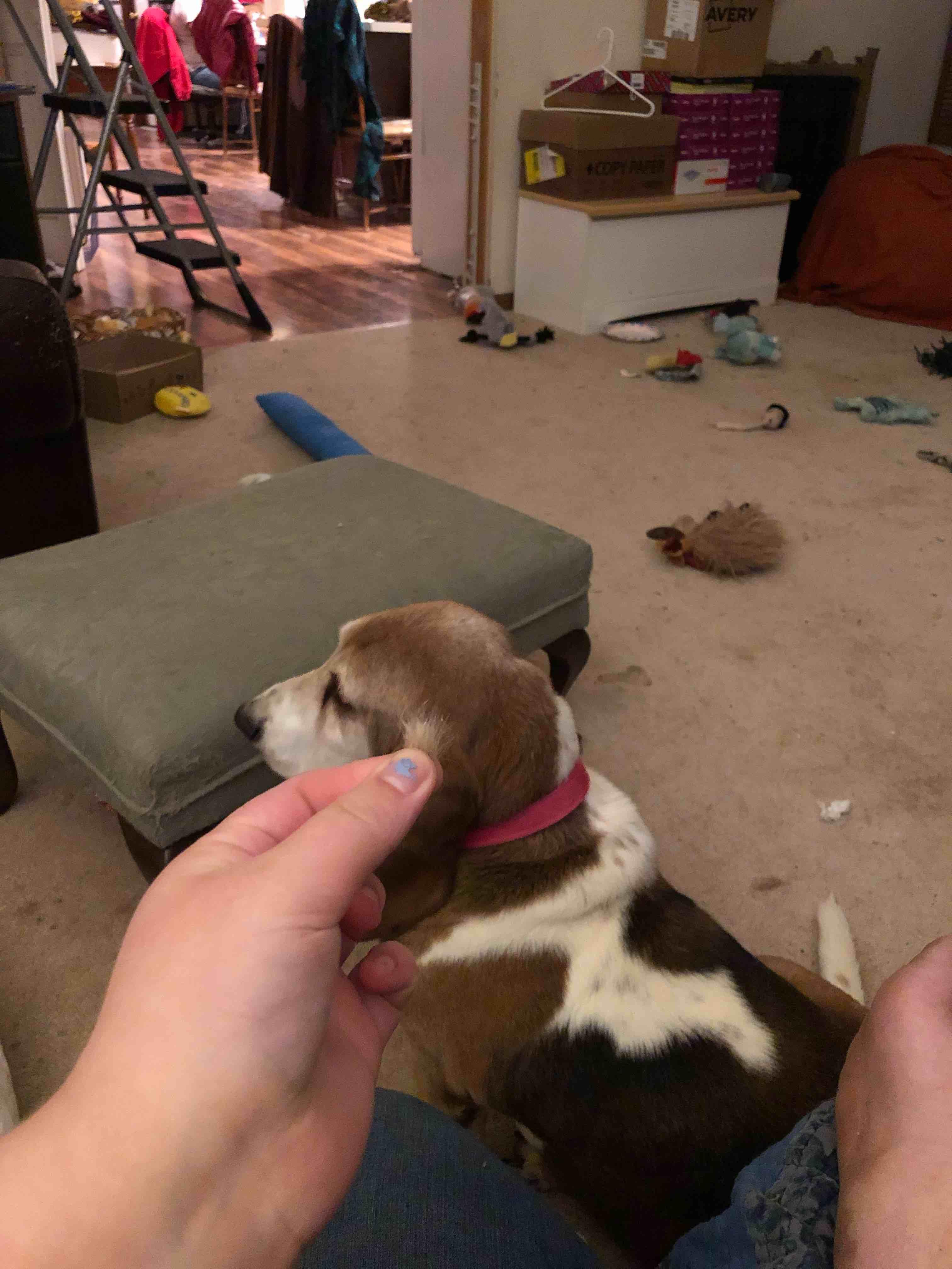 Question details sensitive content