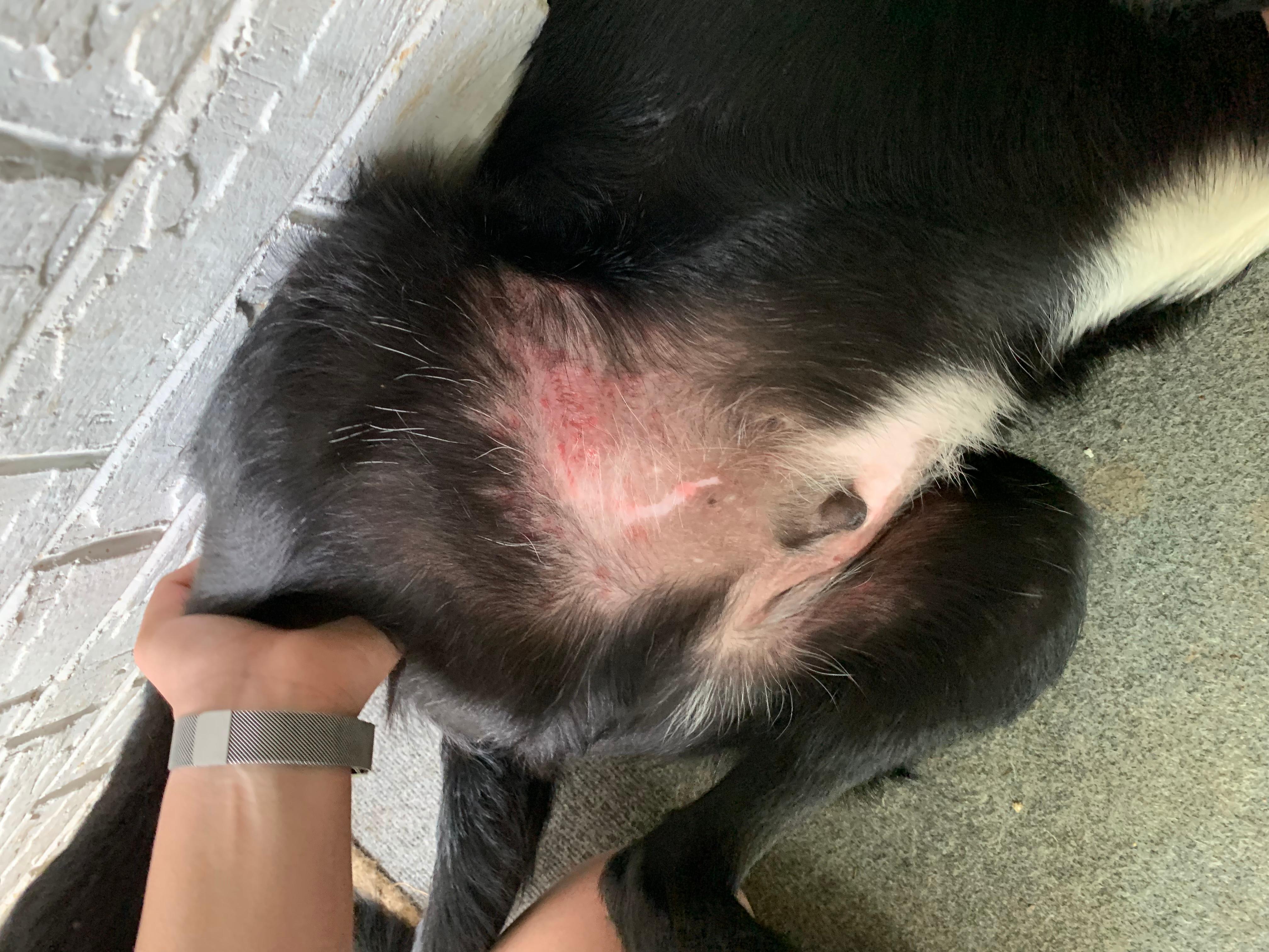 Question details sensitive content