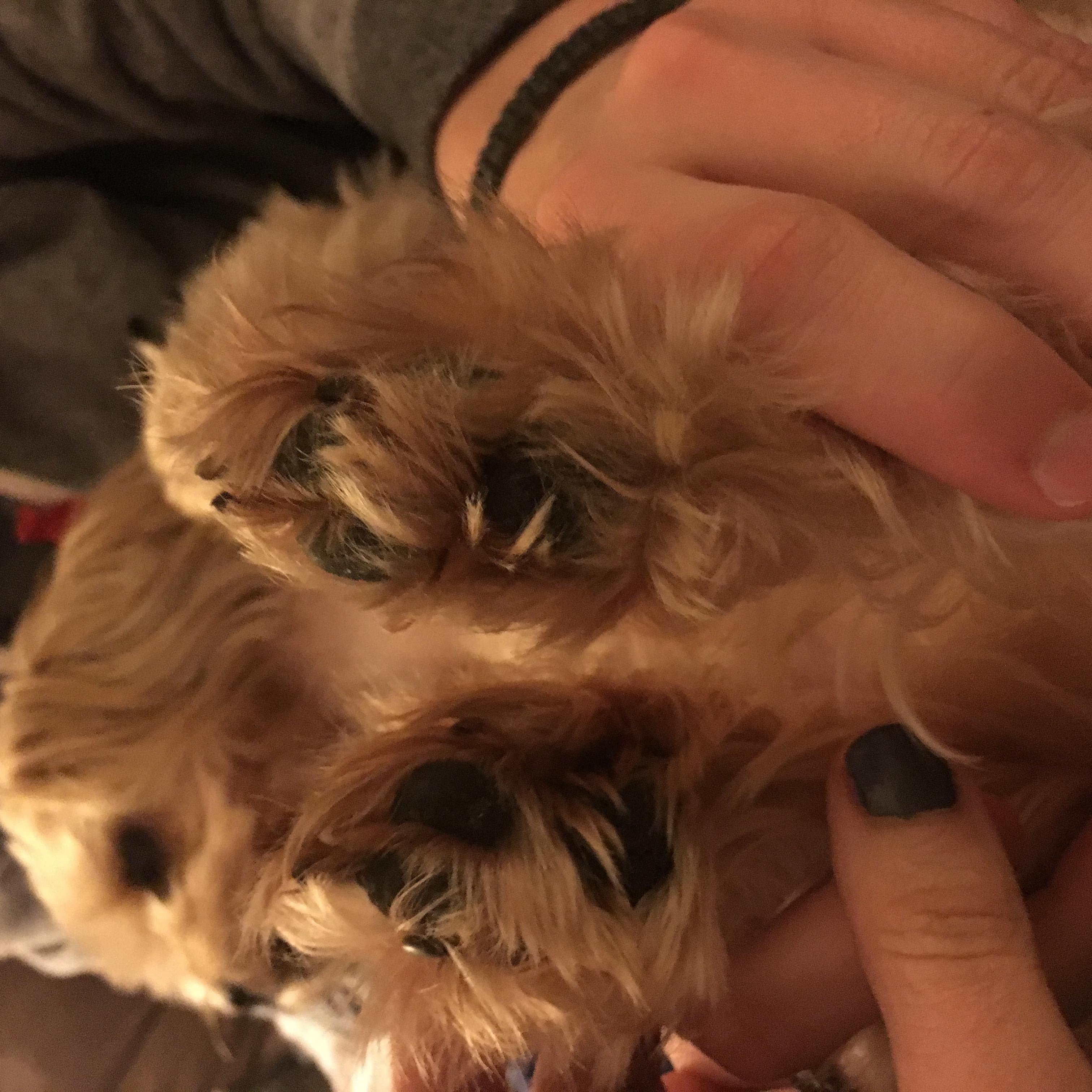 Question details sensitive content