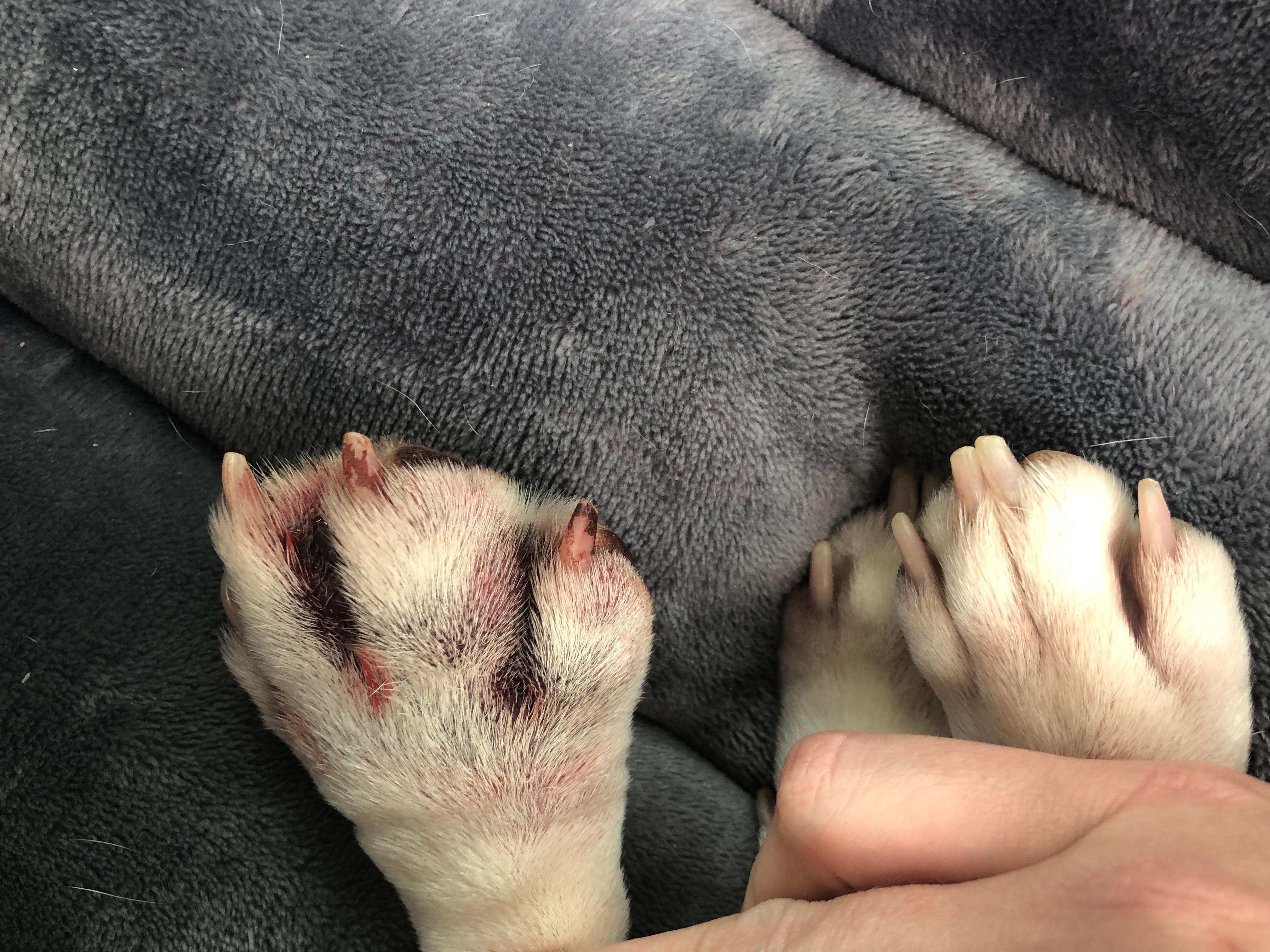 Question details sensitive content