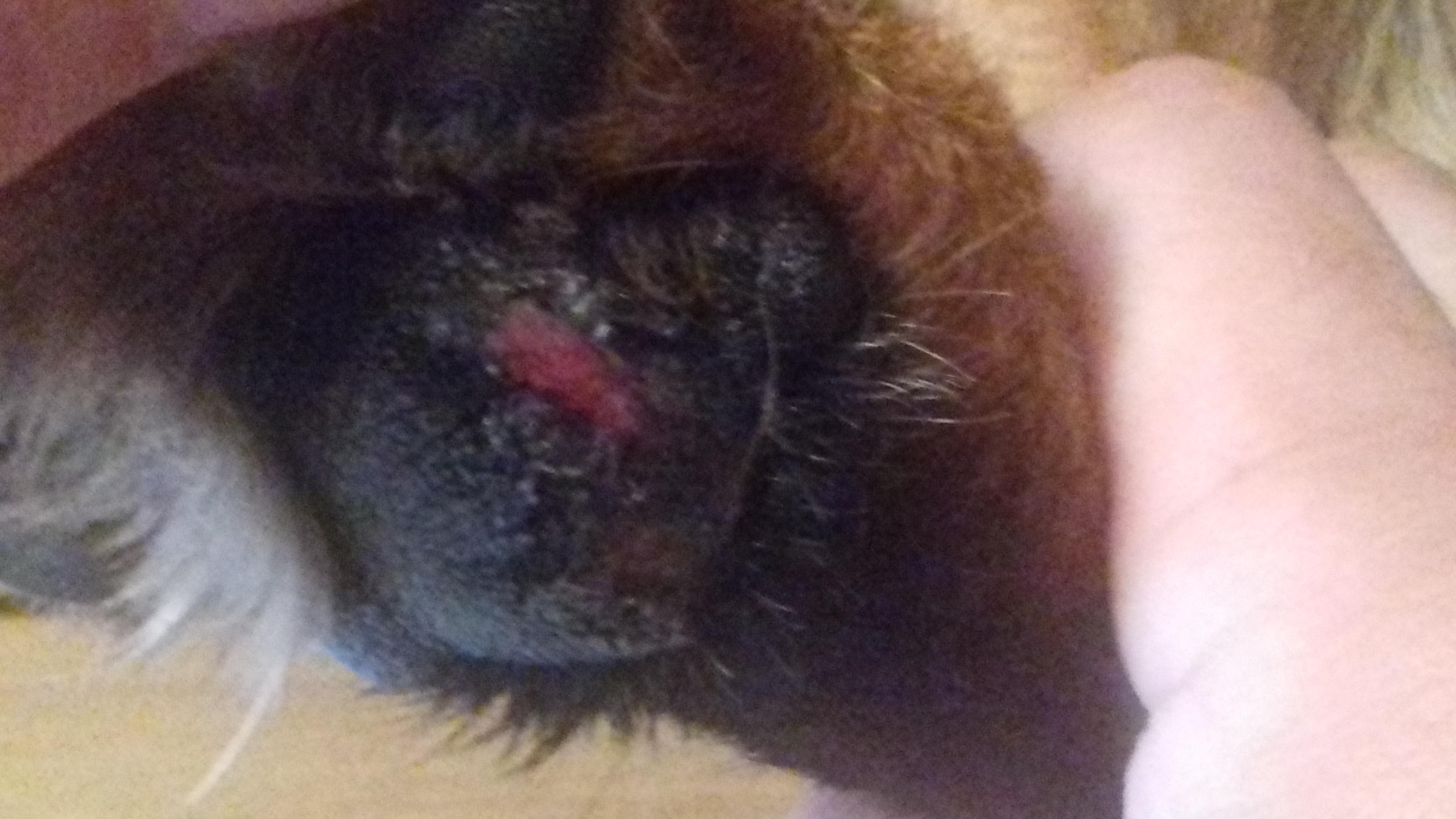 Question details sensitive content