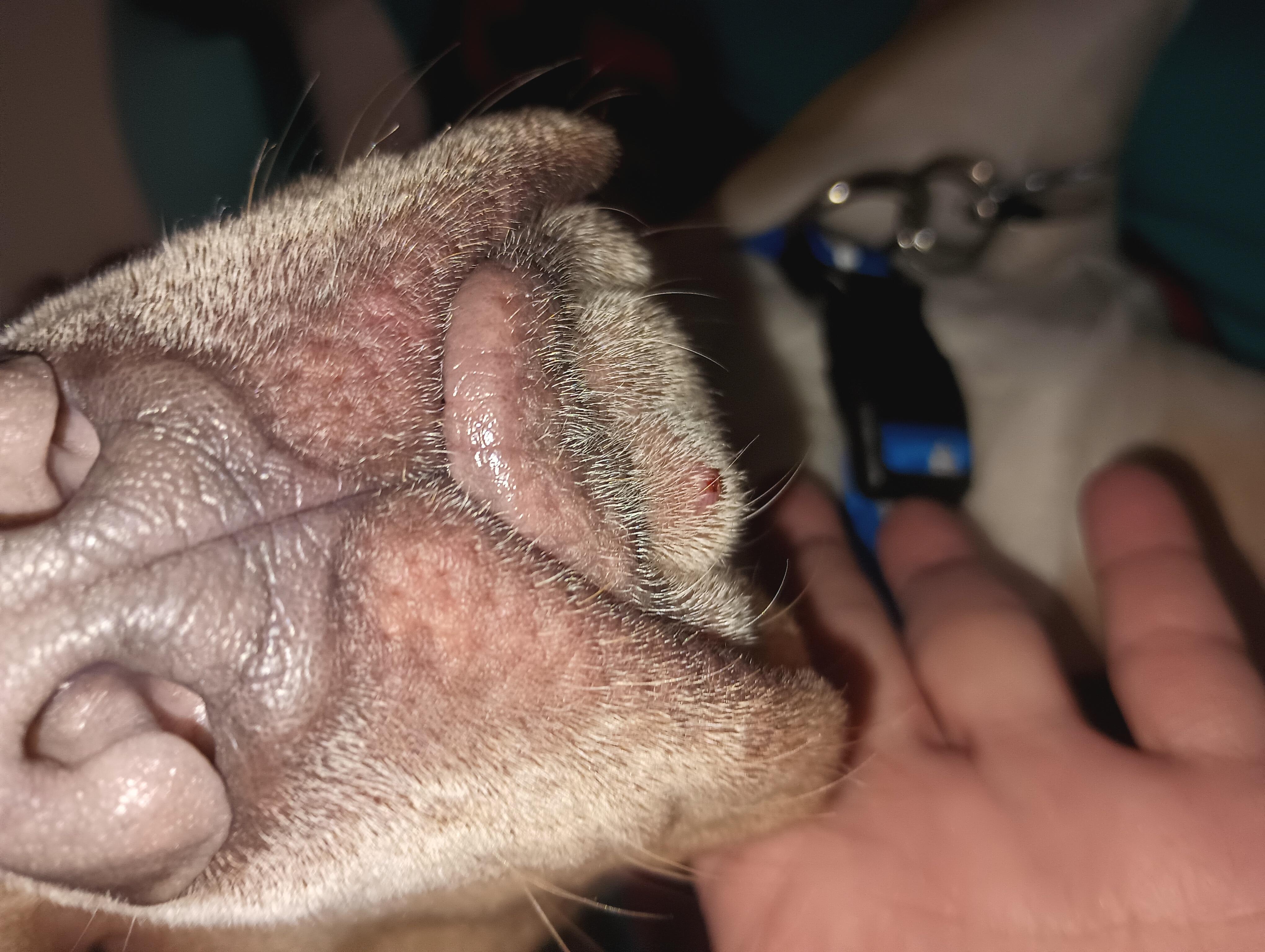 Question details sensitive content