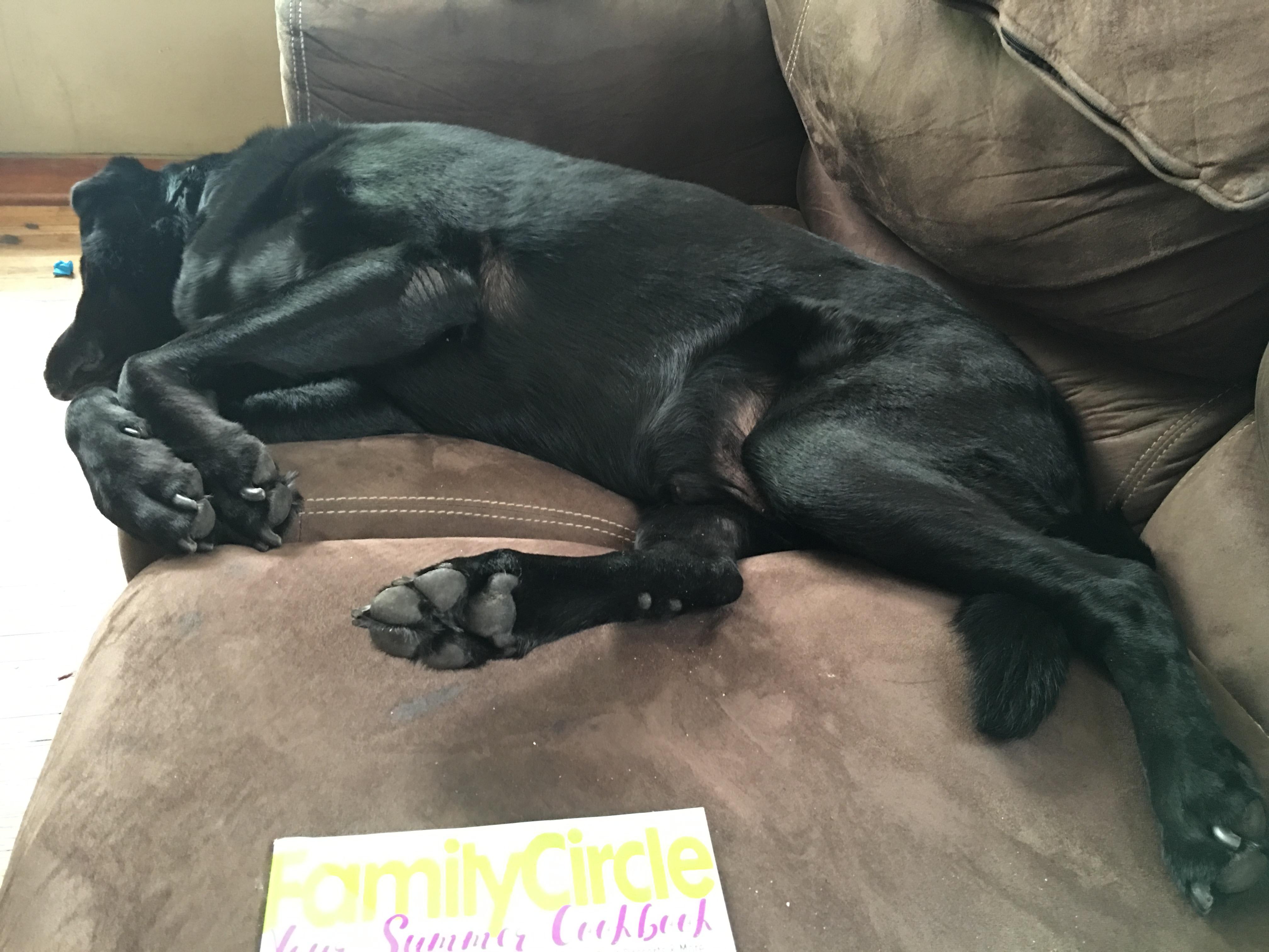 Question details sensitive content