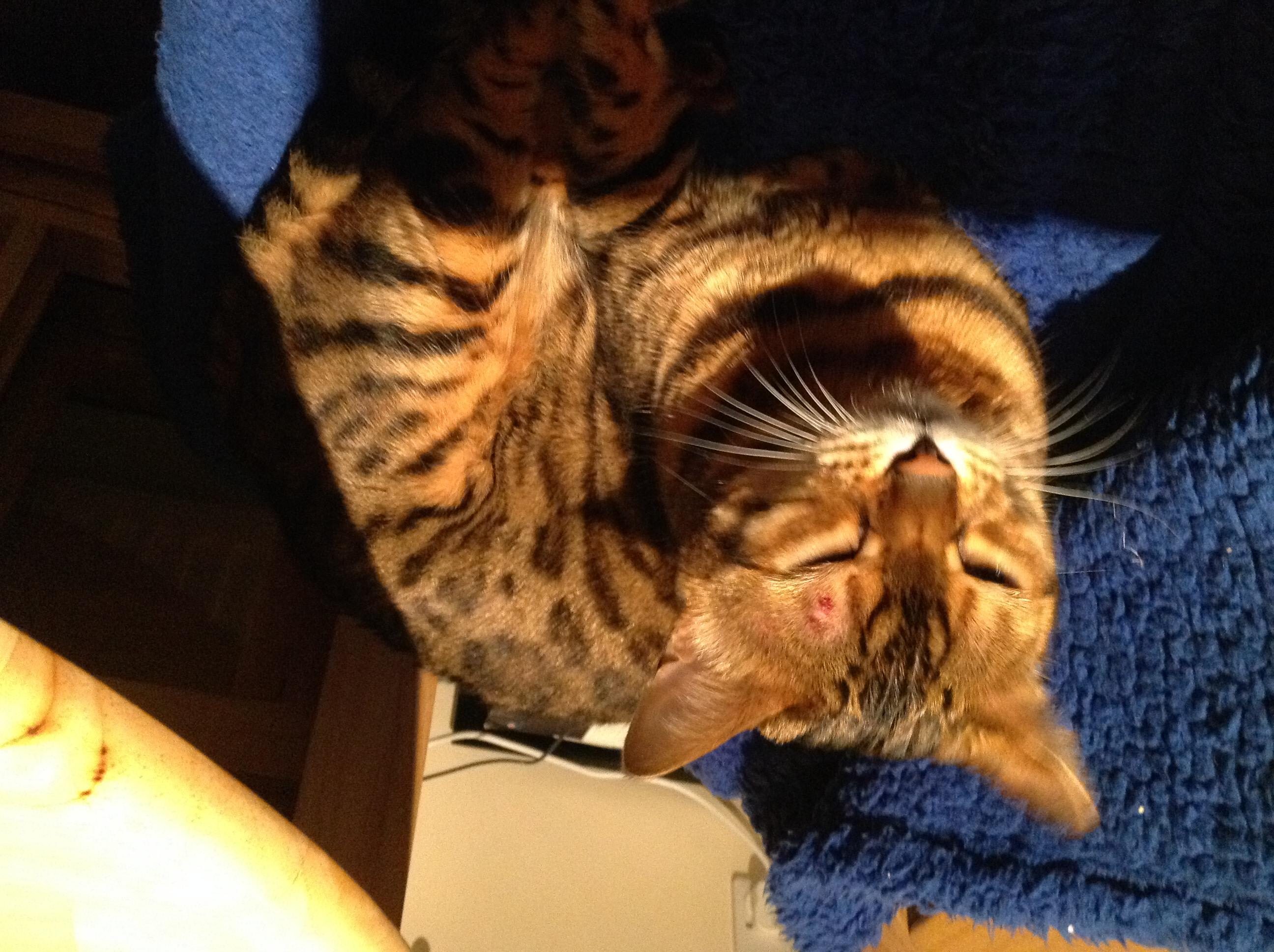 Question details sensitive content