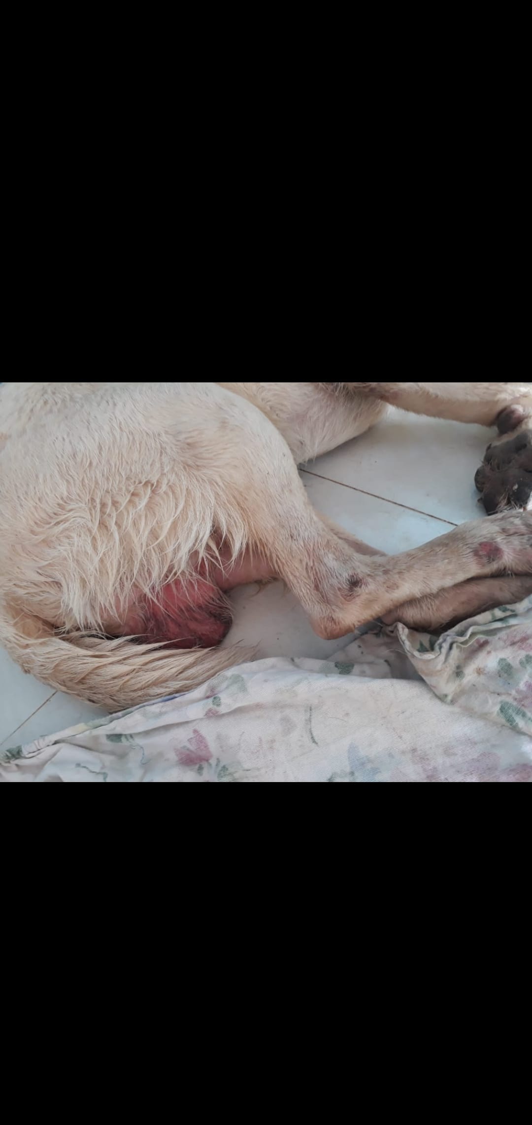 Question details sensitive content