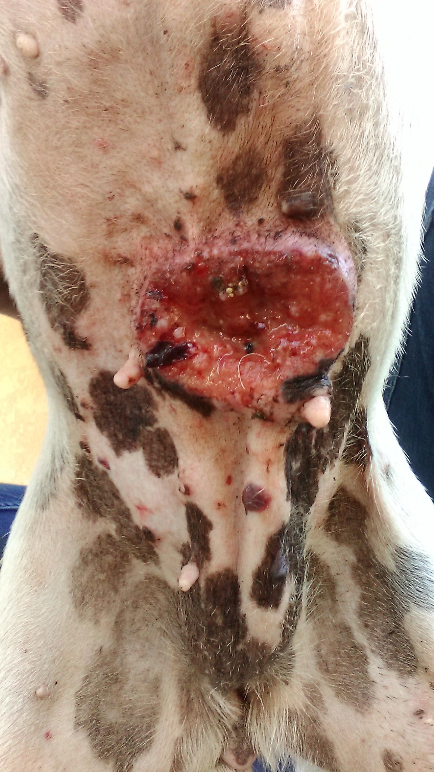 Question details sensitive content