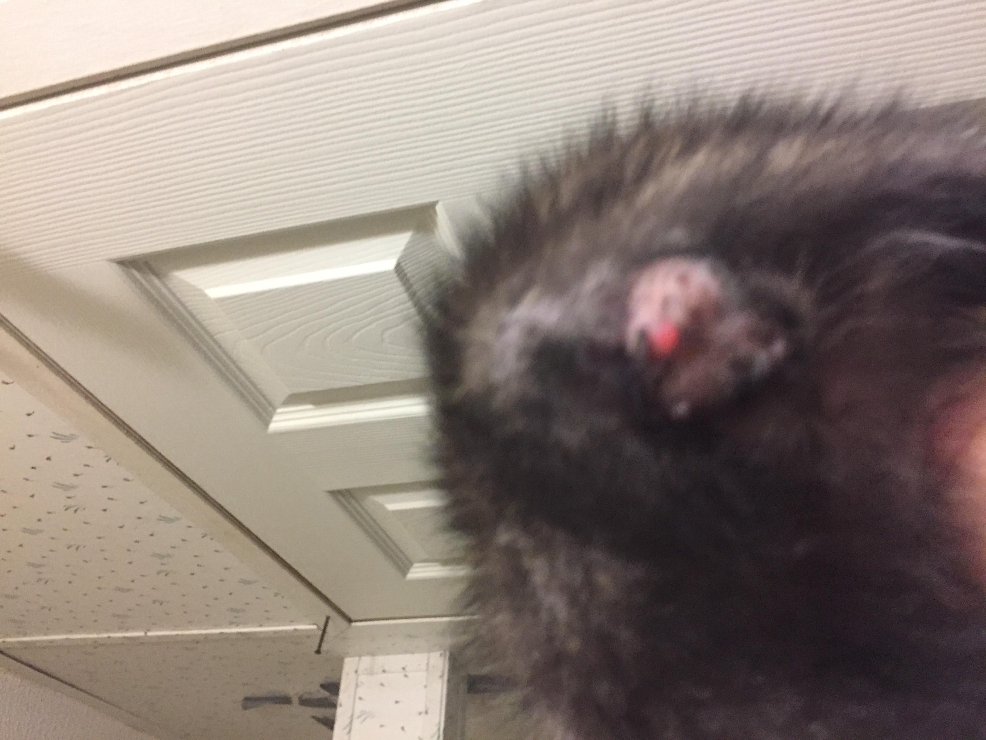 Question details sensitive content