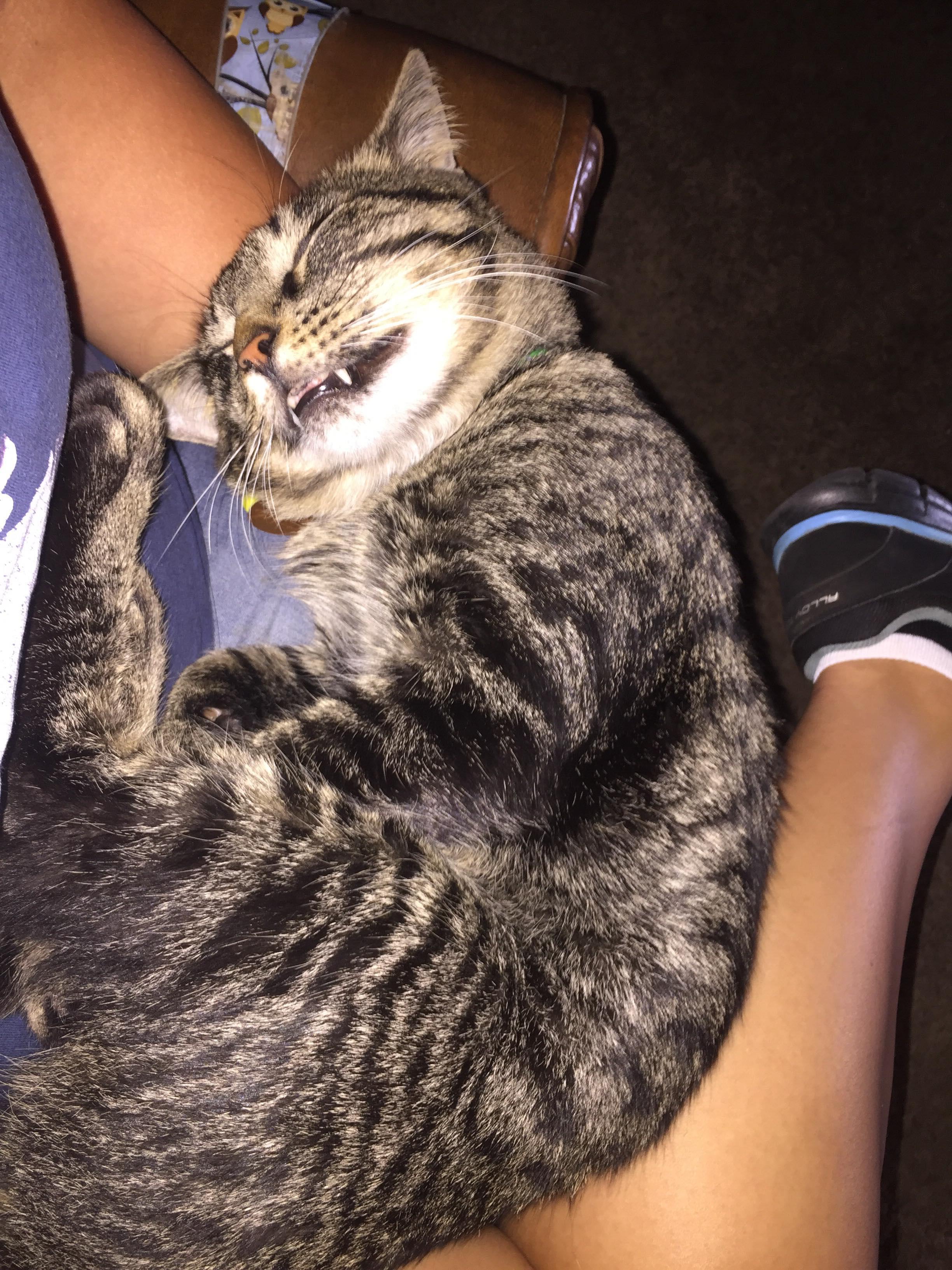 Question details sensitive content