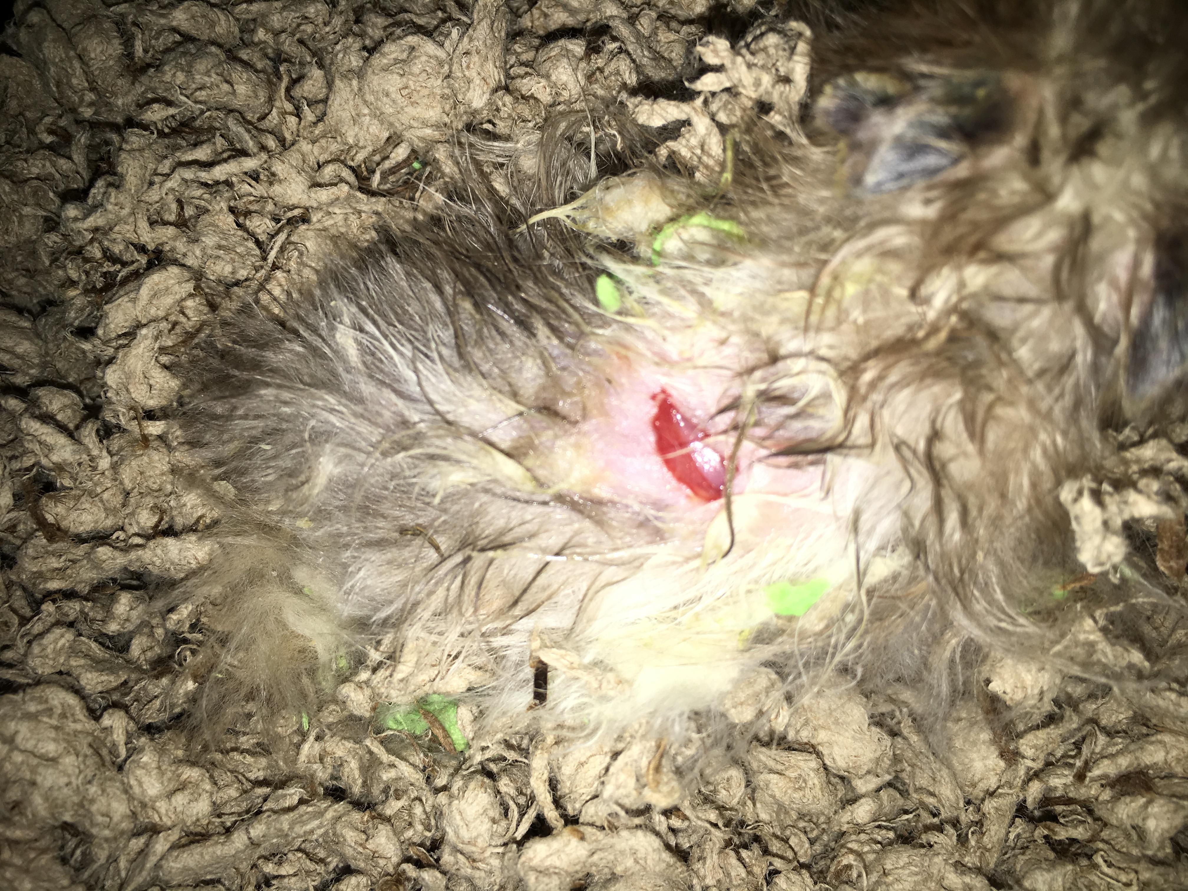 Question details sensitive content