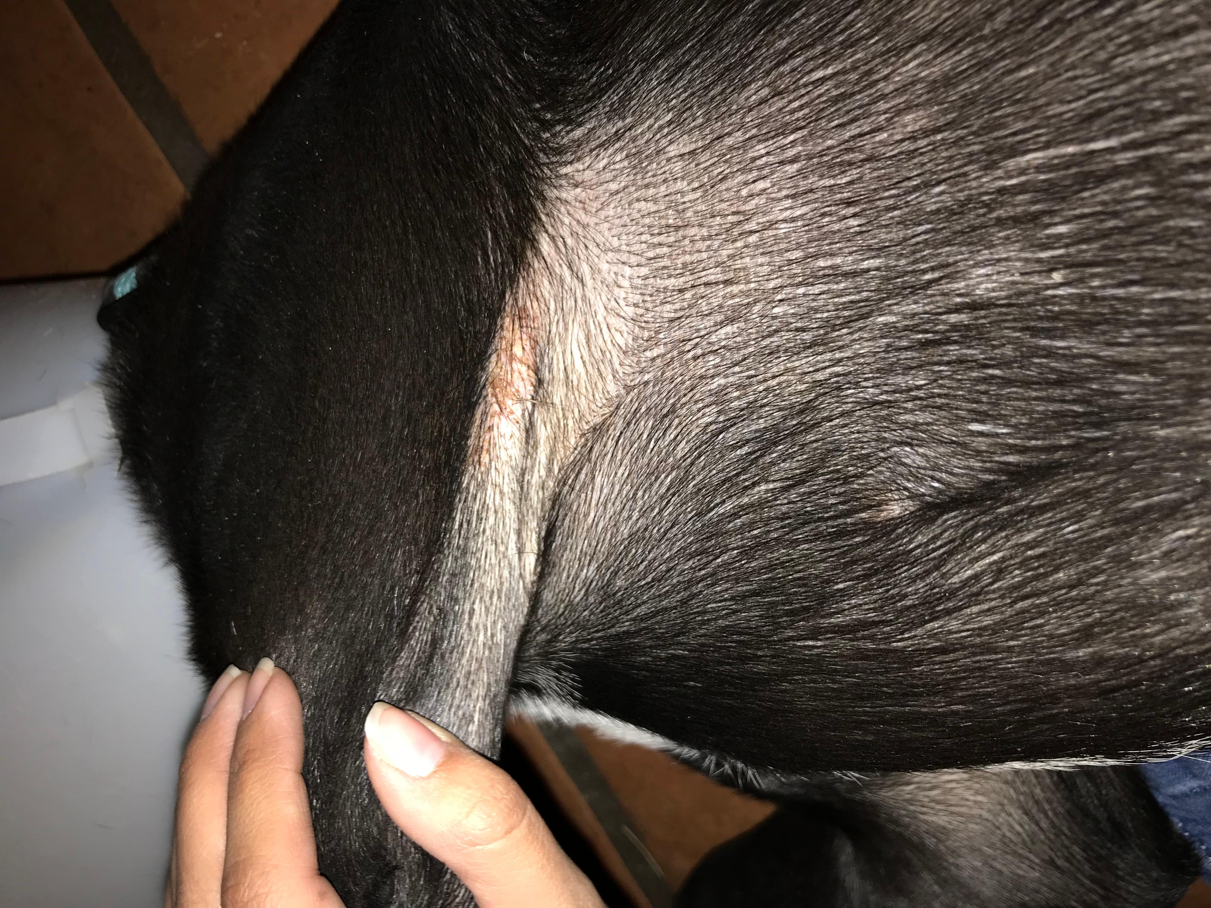 Question details sensitive content