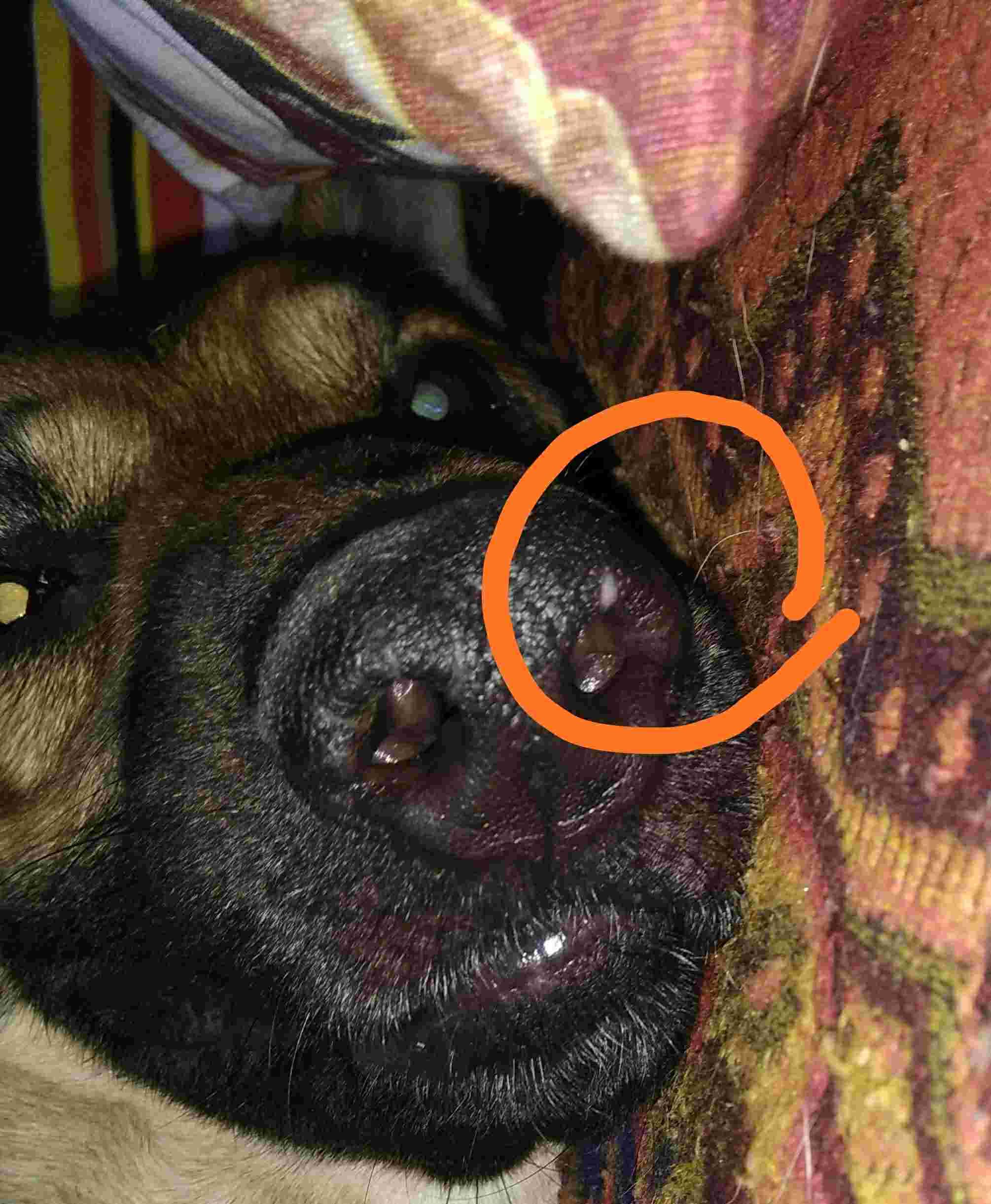 Question details sensitive content