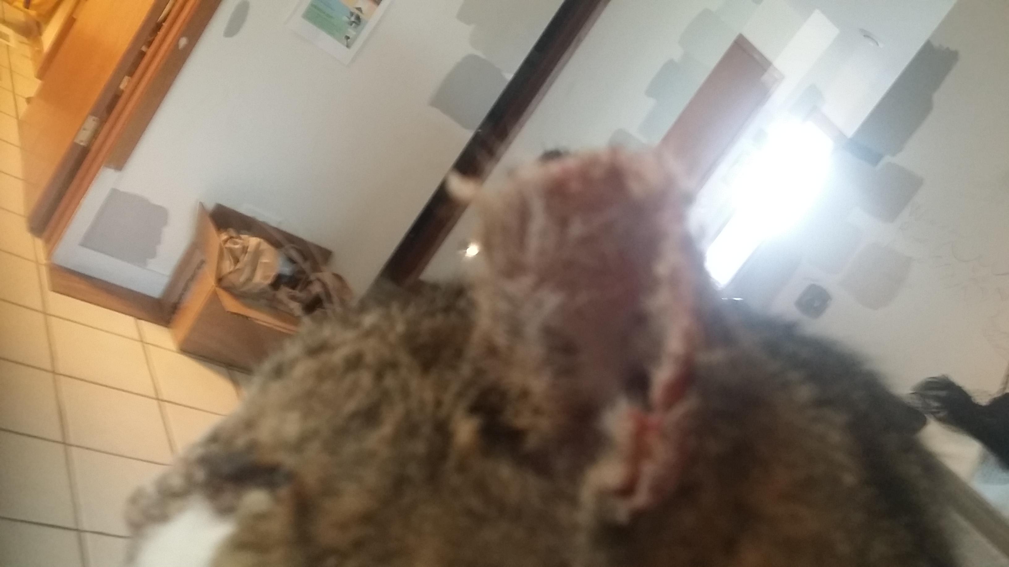 Question details sensitive content