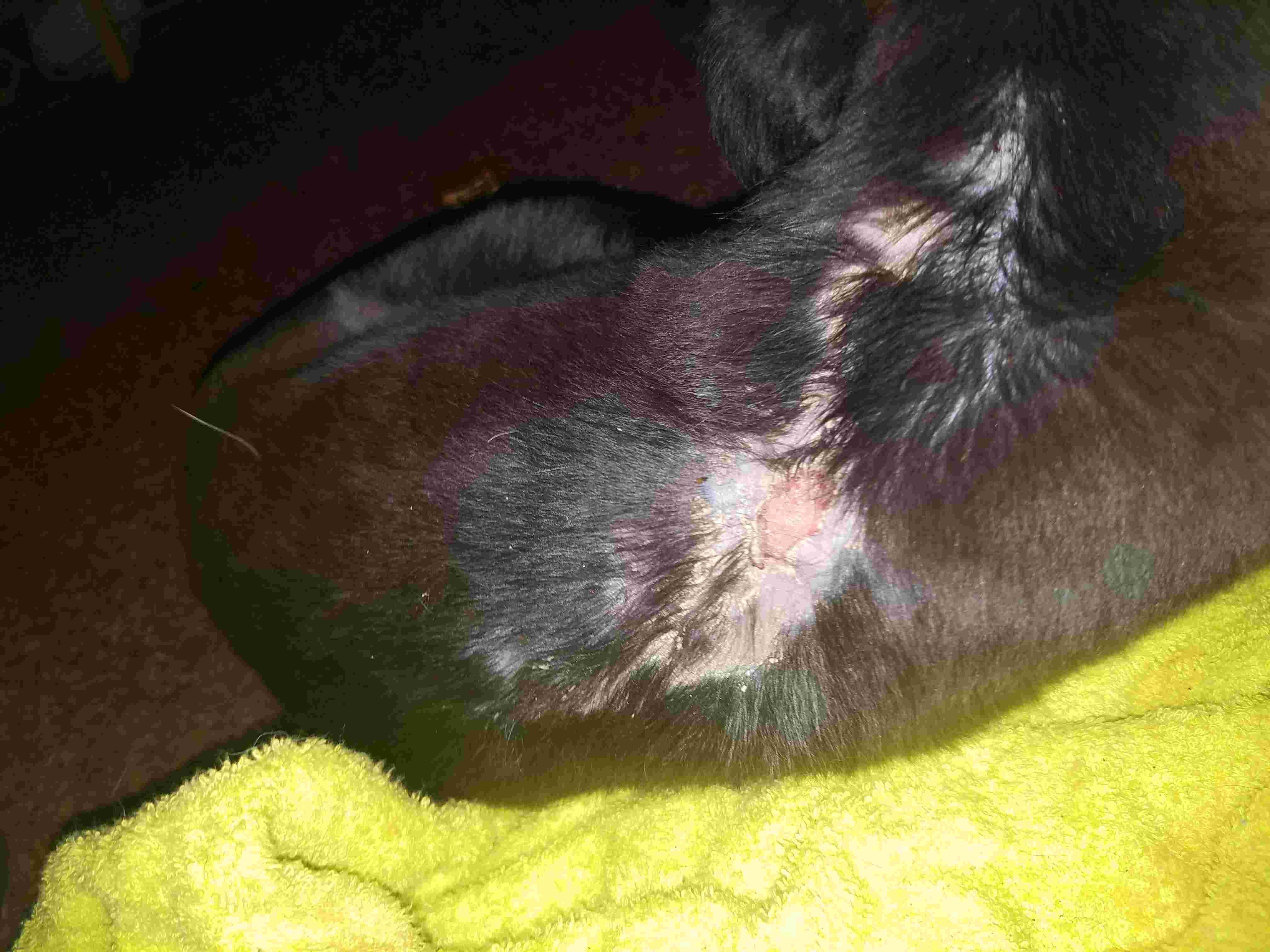 Question details sensitive content