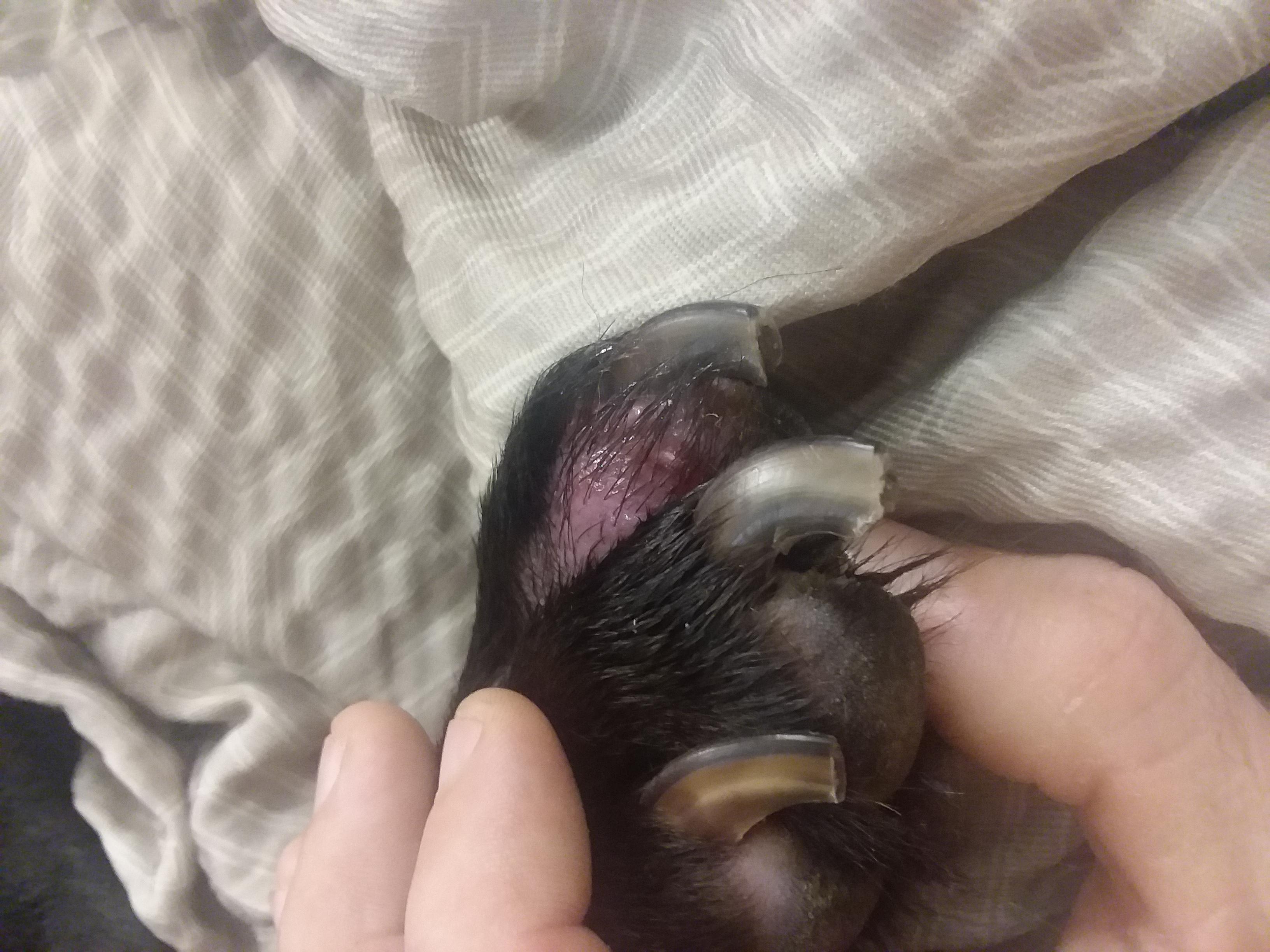 Question details sensitive content