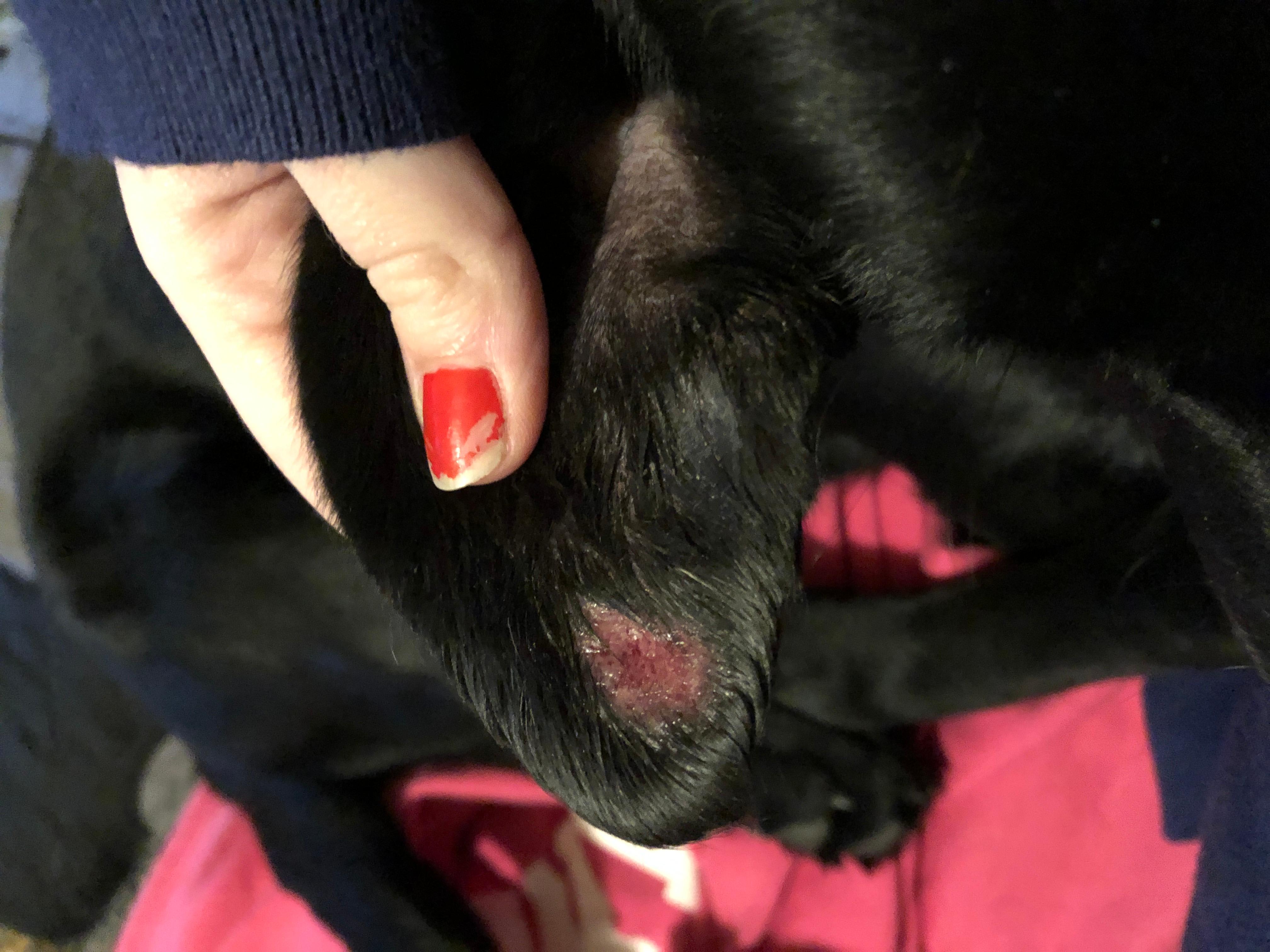 Question details sensitive content