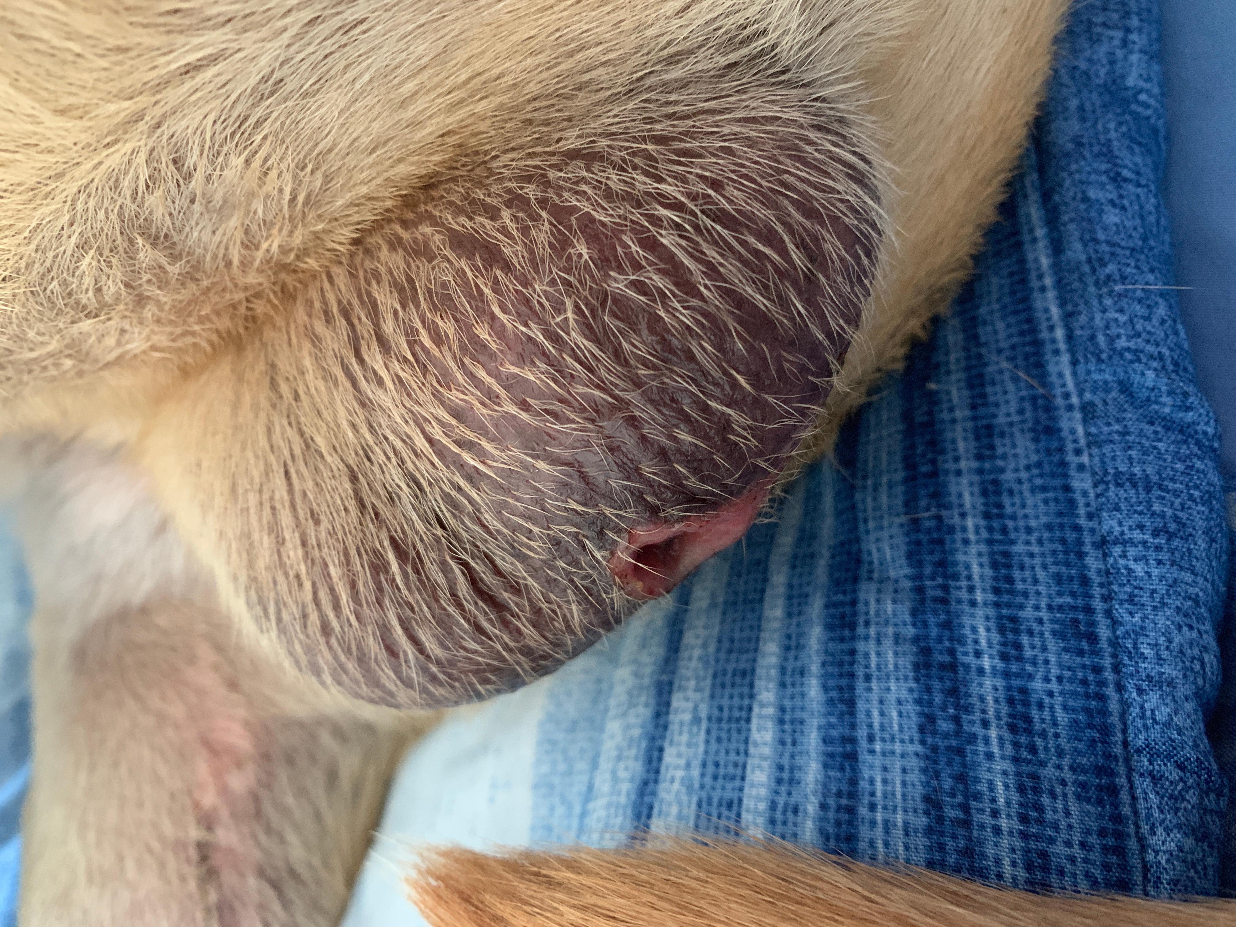 Question details sensitive content