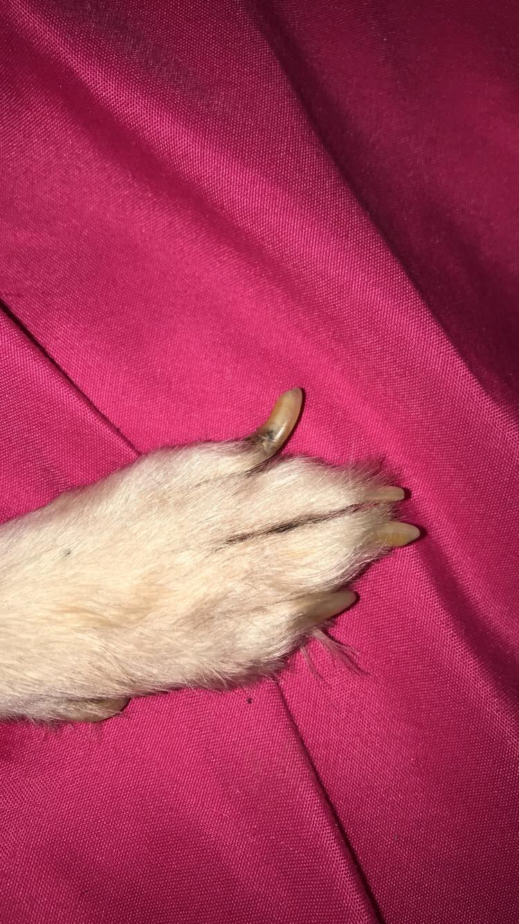 Question details sensitive content