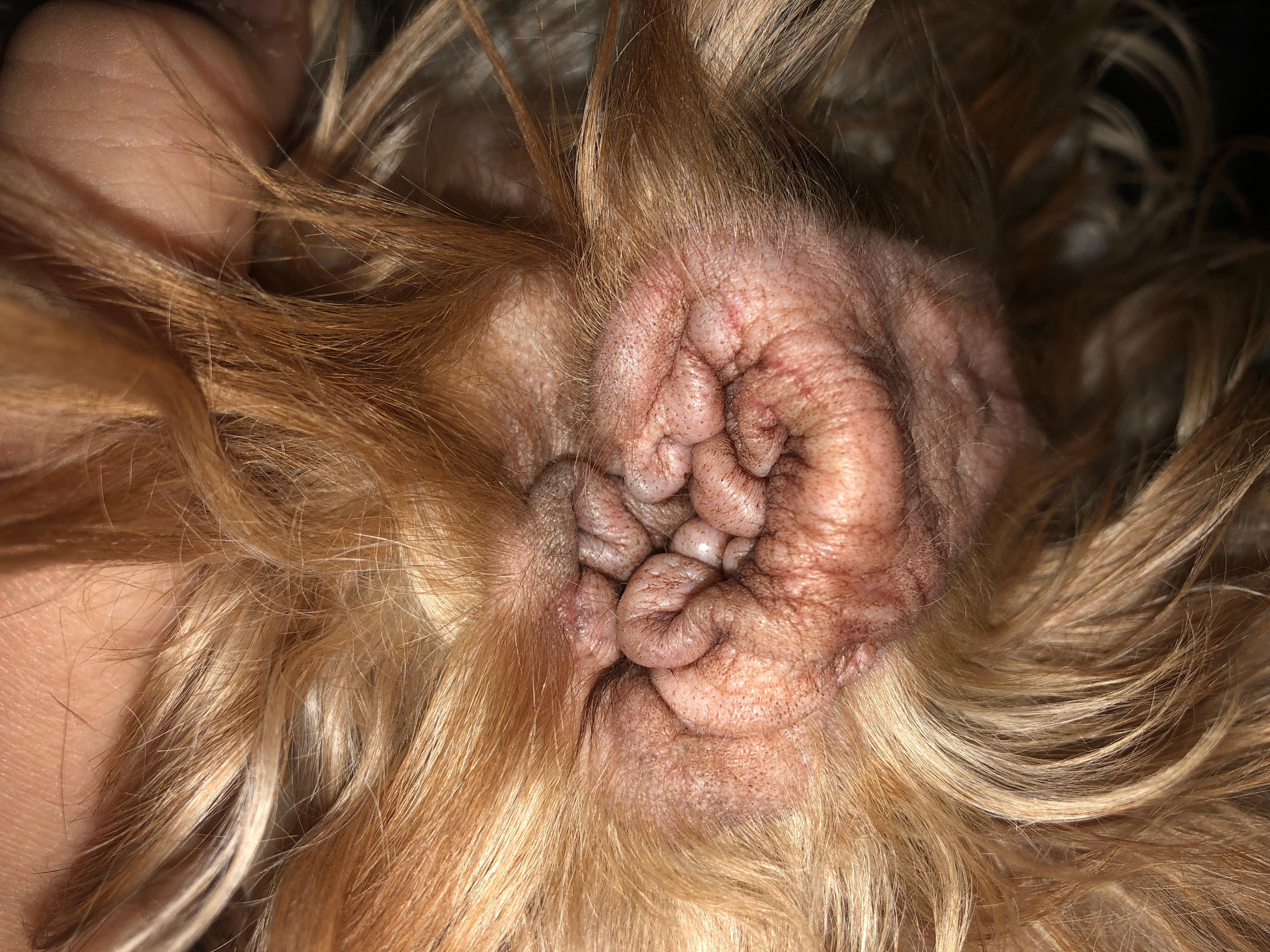 Question details sensitive content