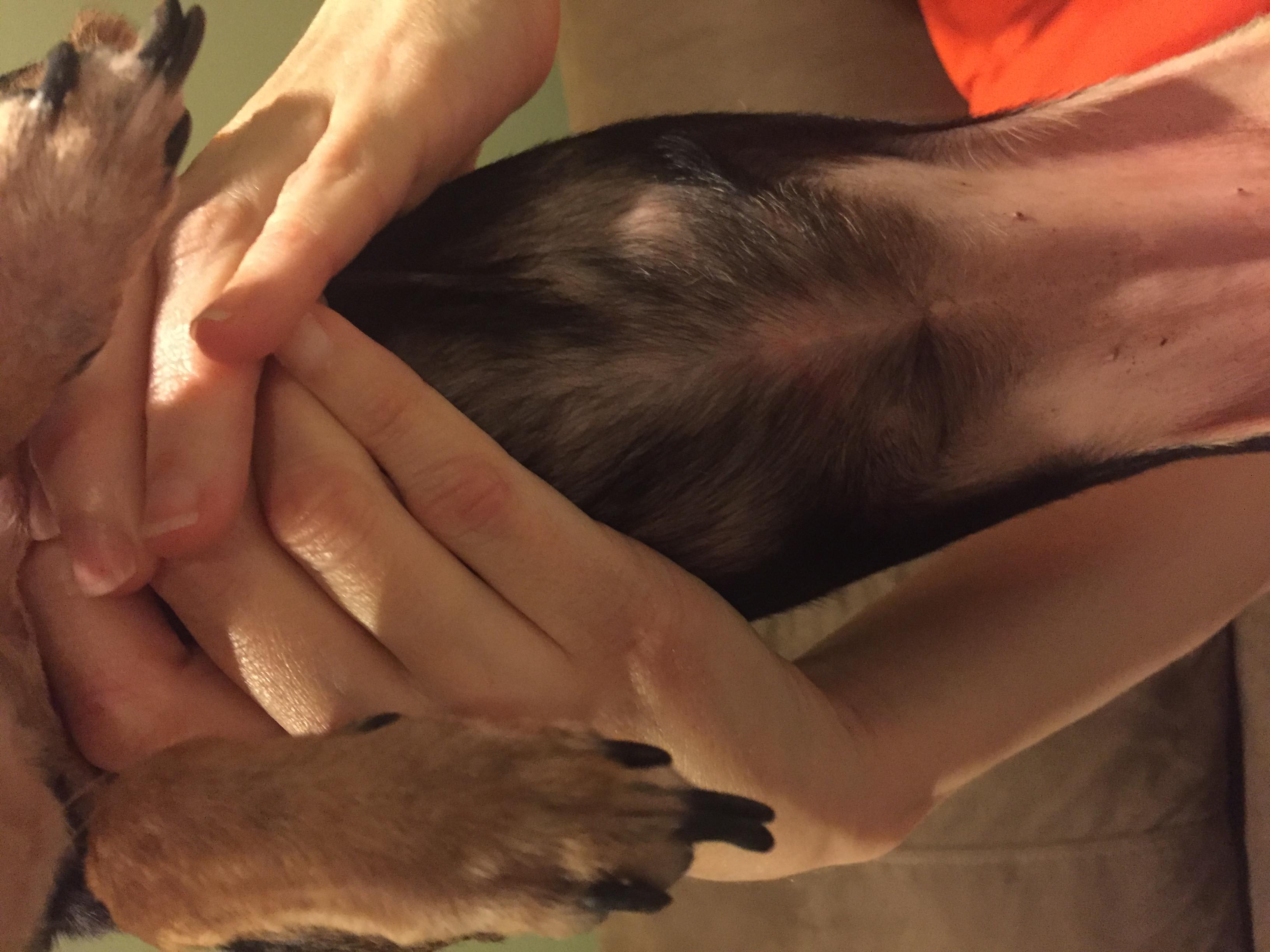 Question details sensitive content