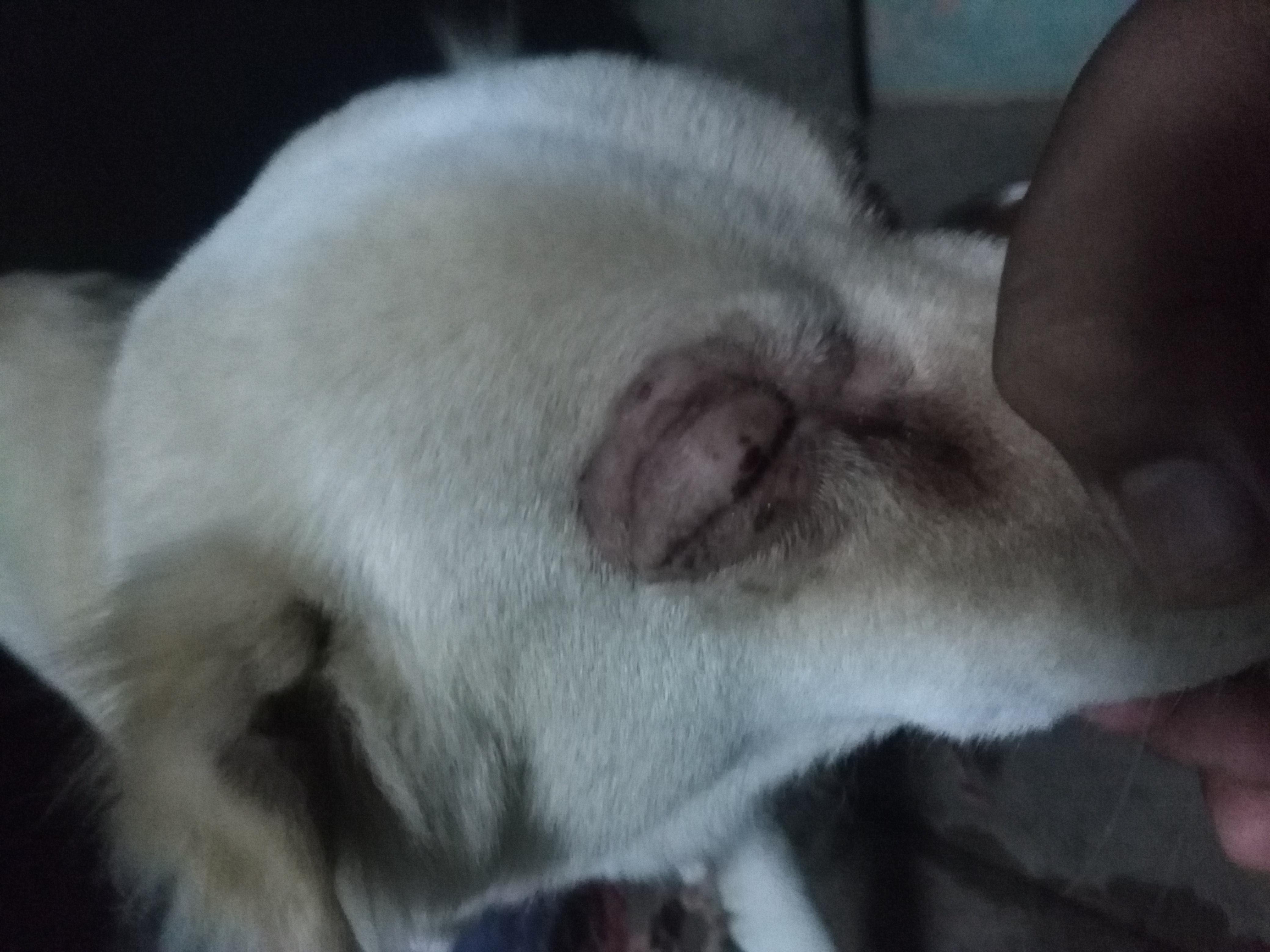 Question details sensitive content