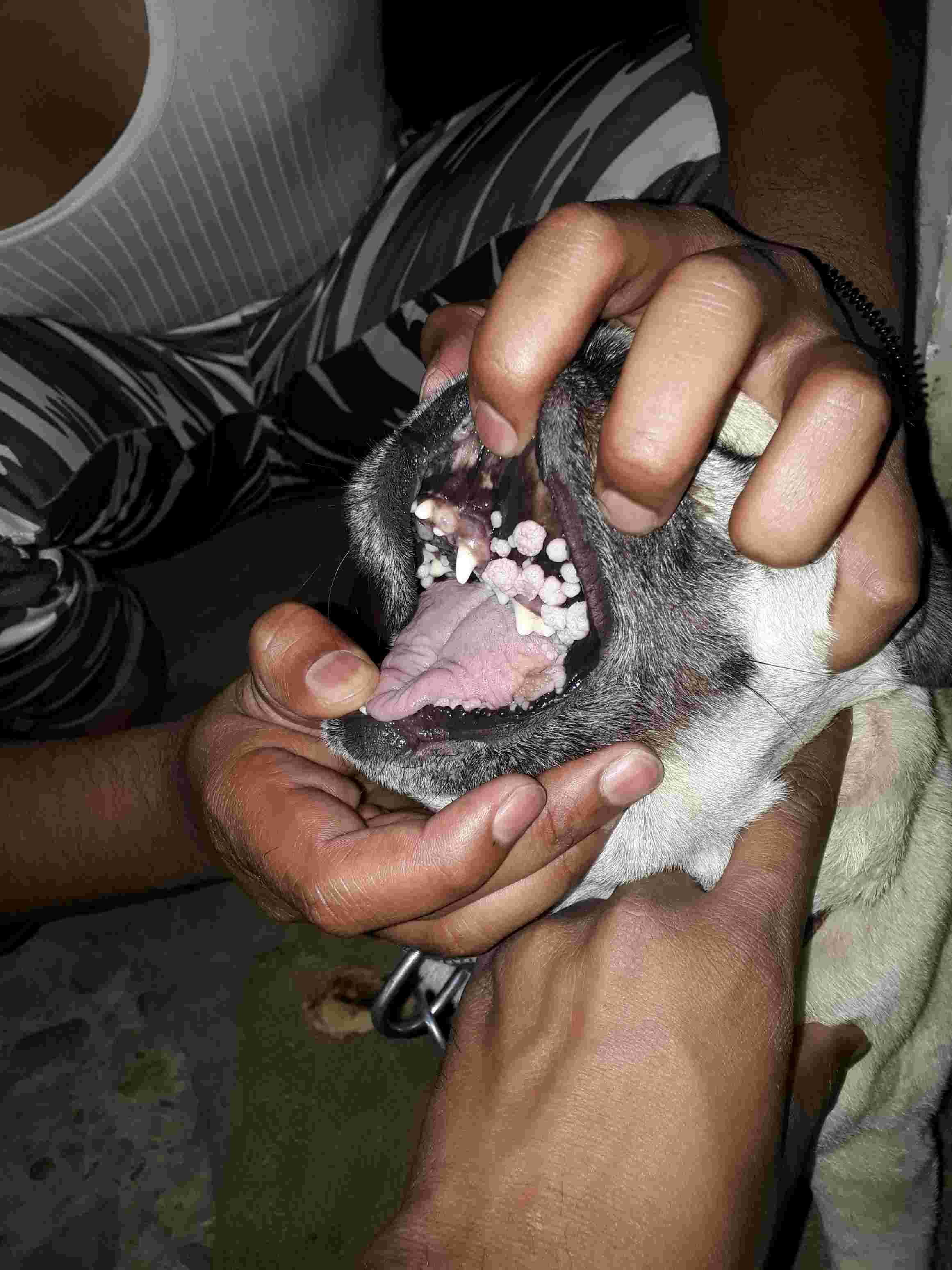 Question details sensitive content