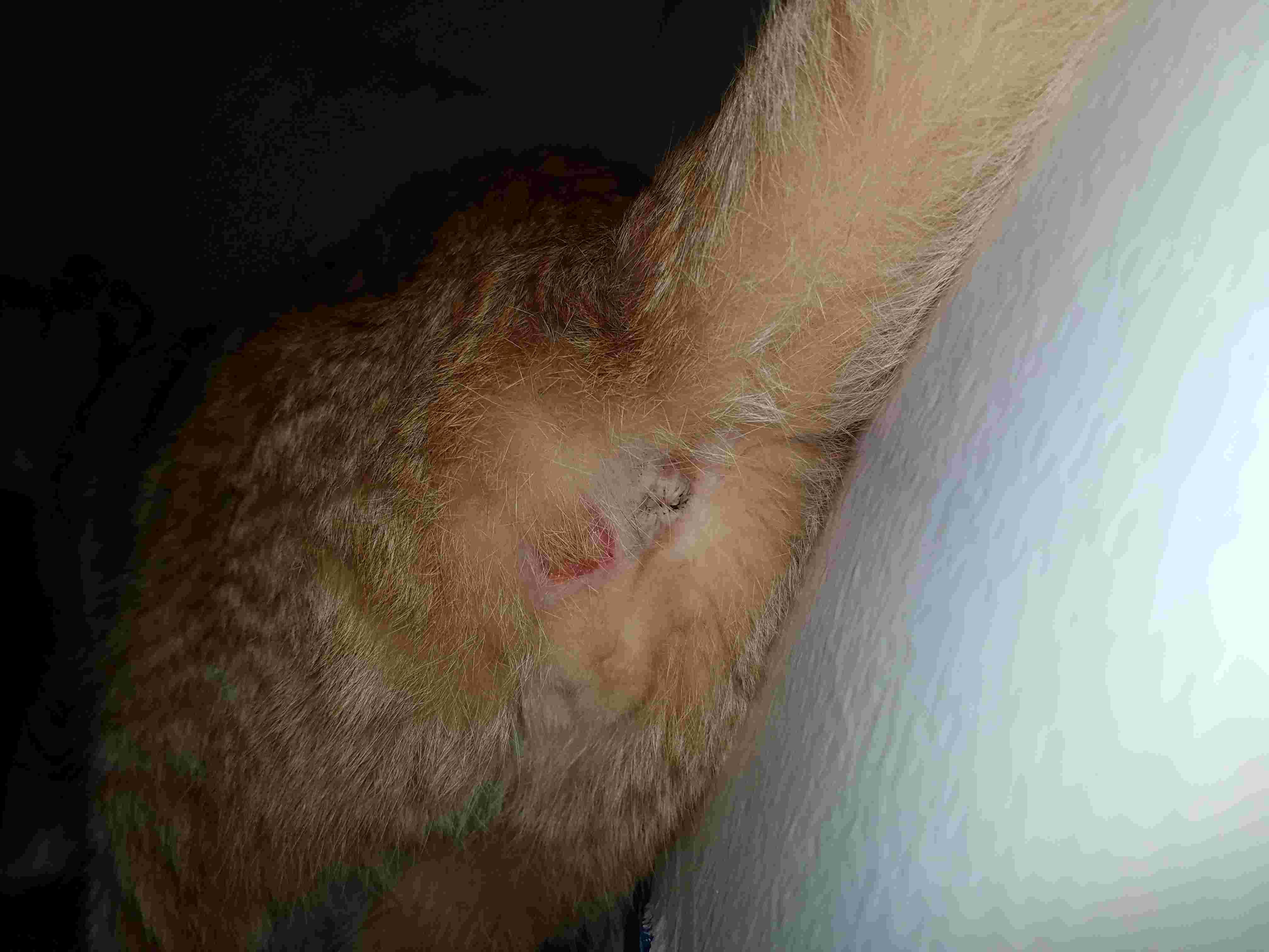 Question details sensitive content