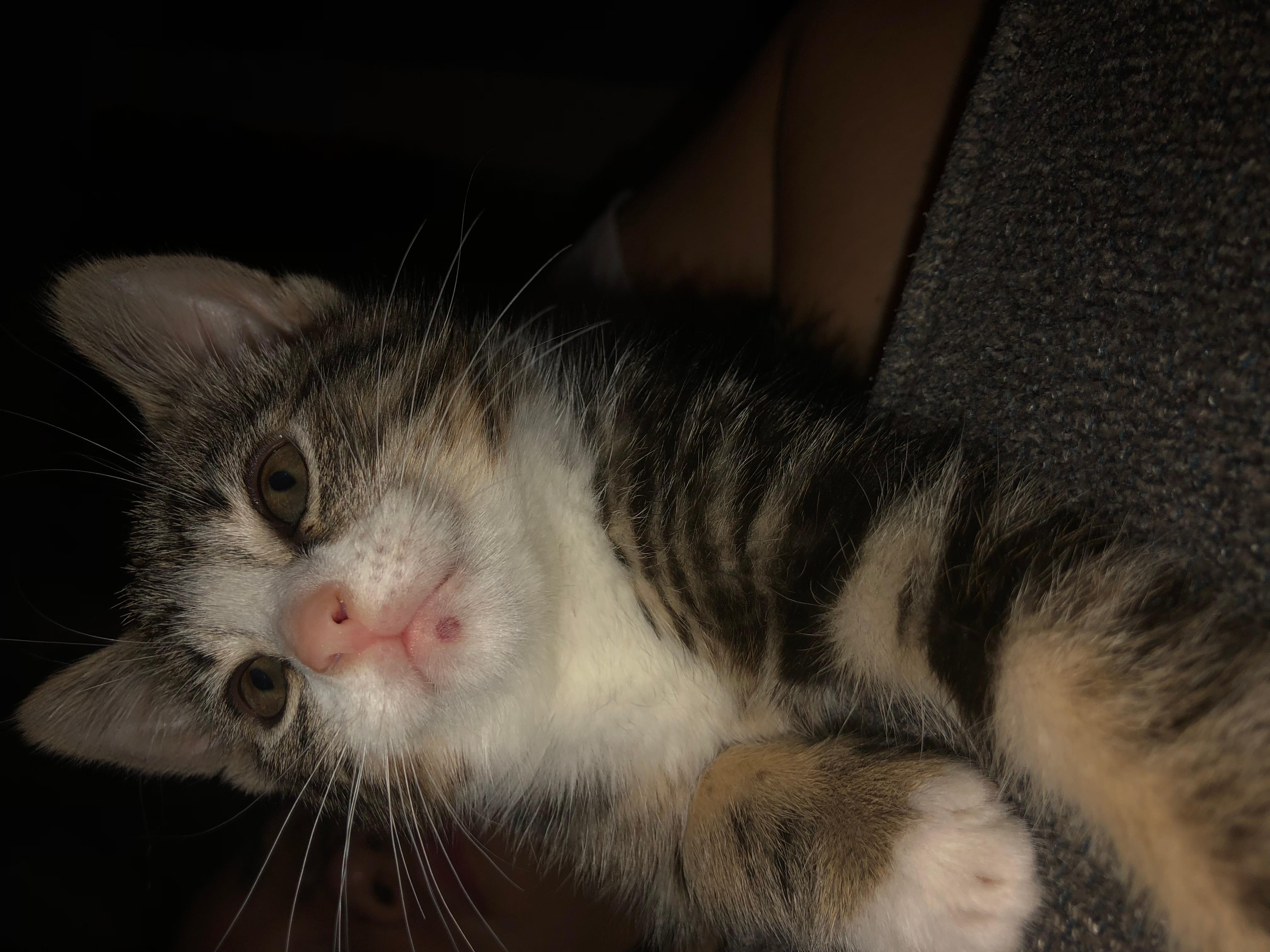 Question details sensitive content