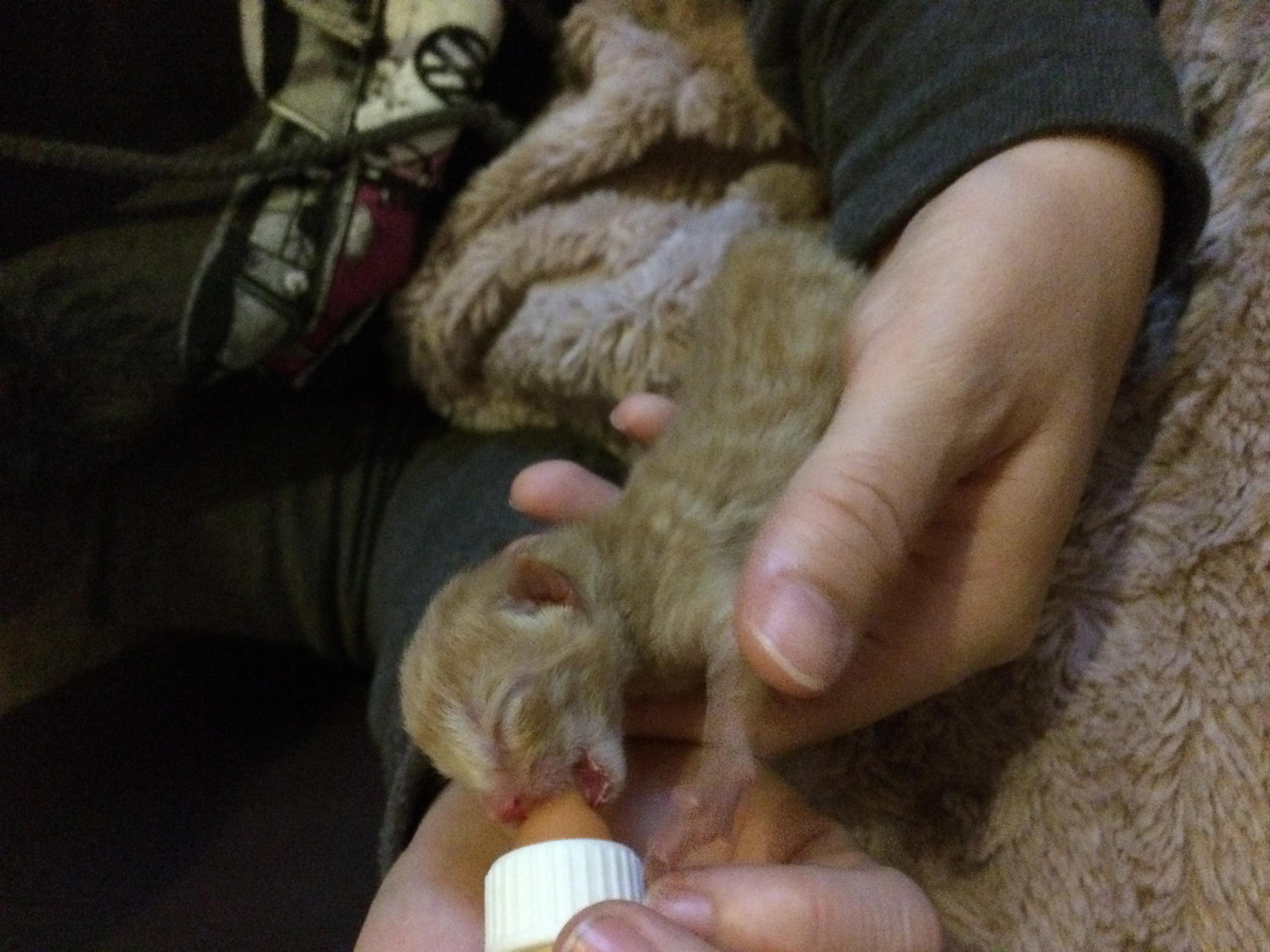 Question details sensitive content