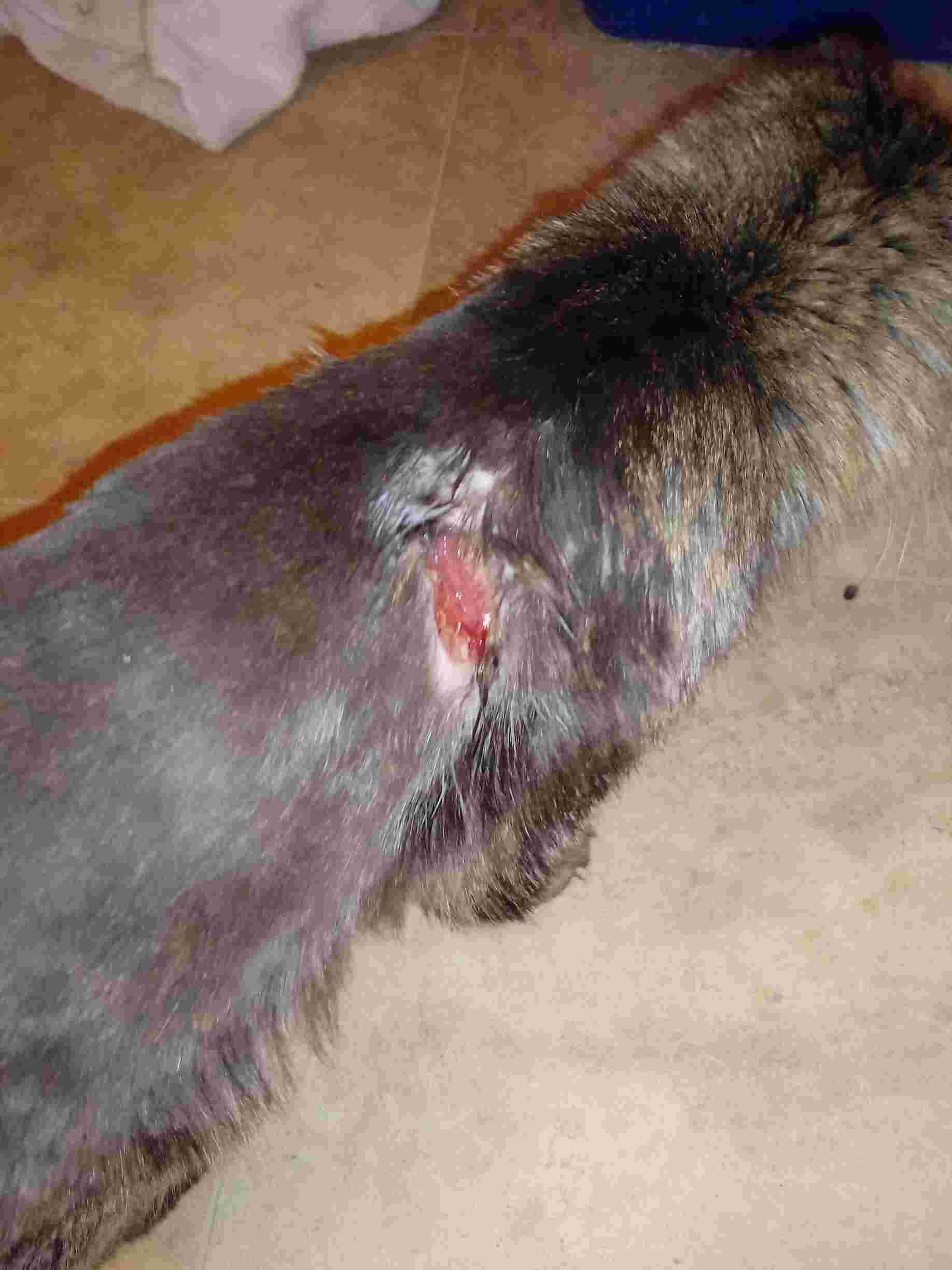 Question details sensitive content