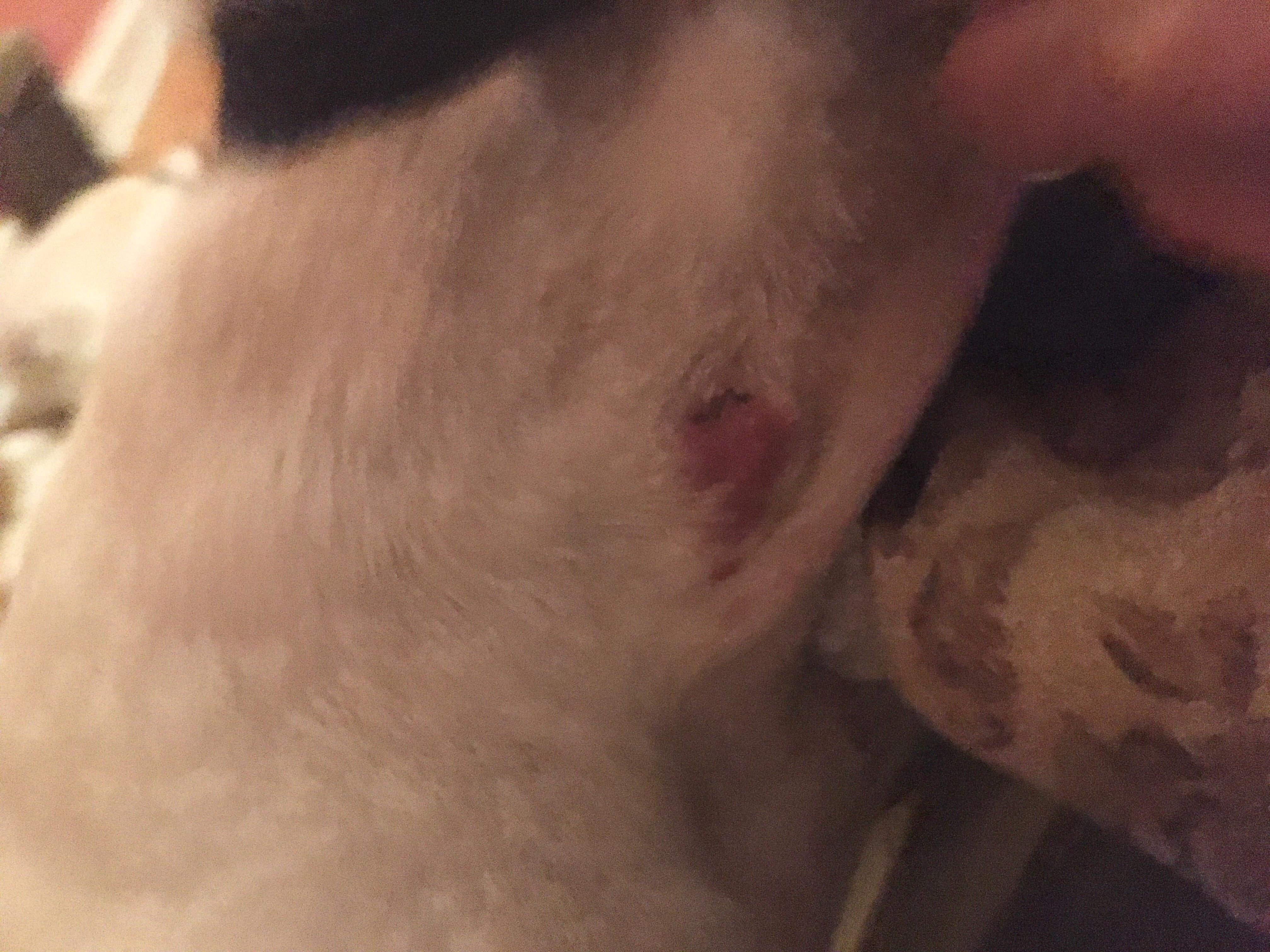 Question details sensitive content