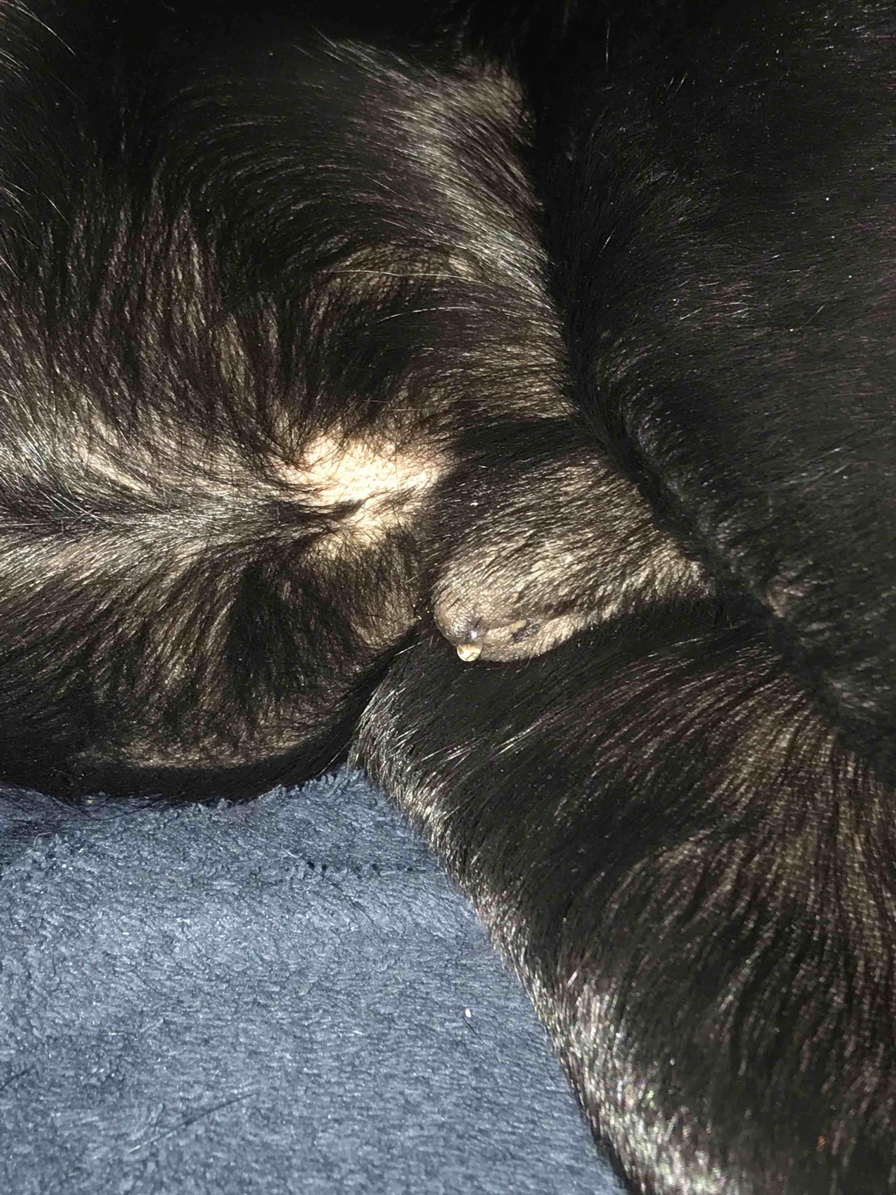 Question details sensitive content