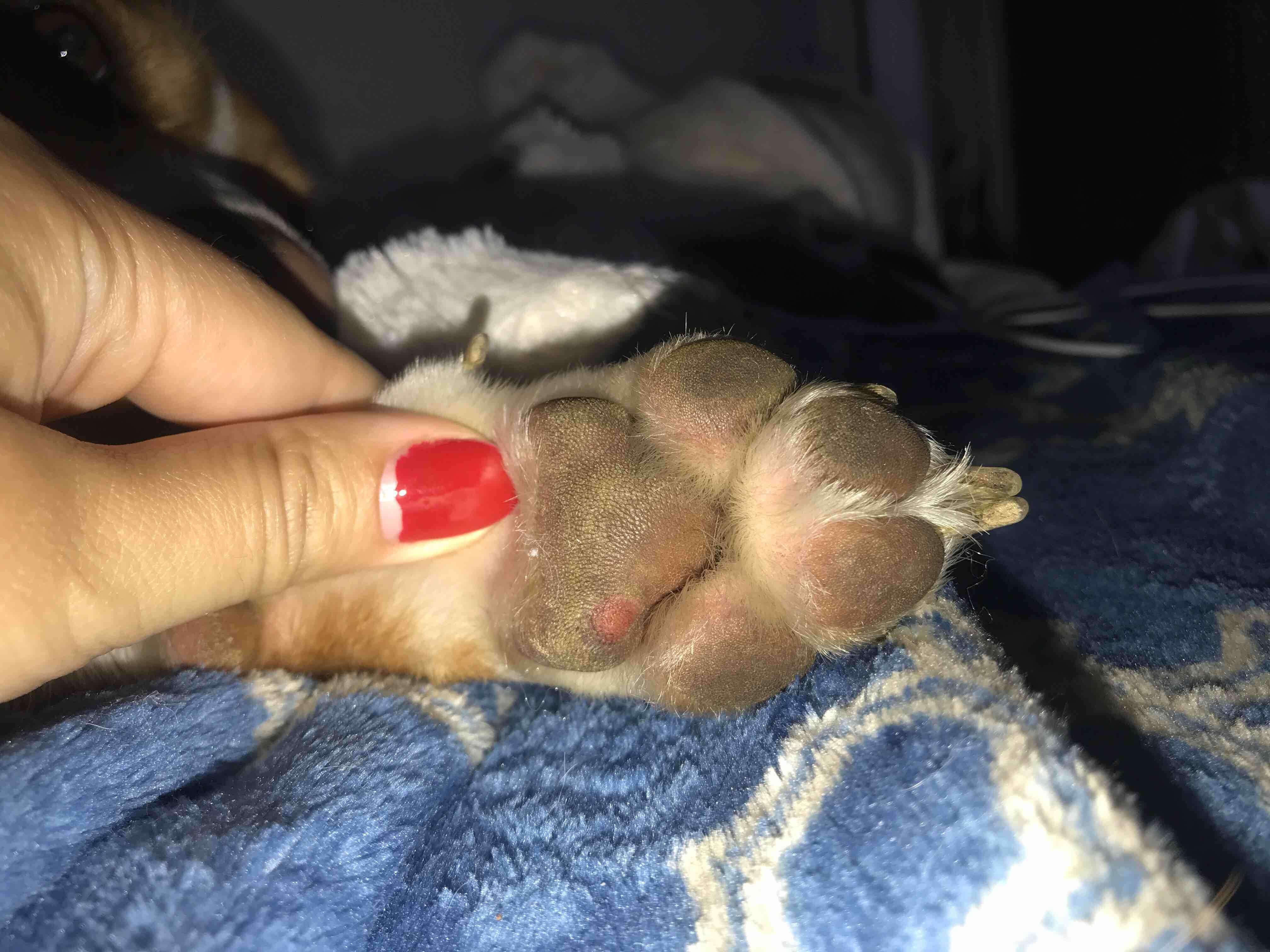 Question details sensitive content