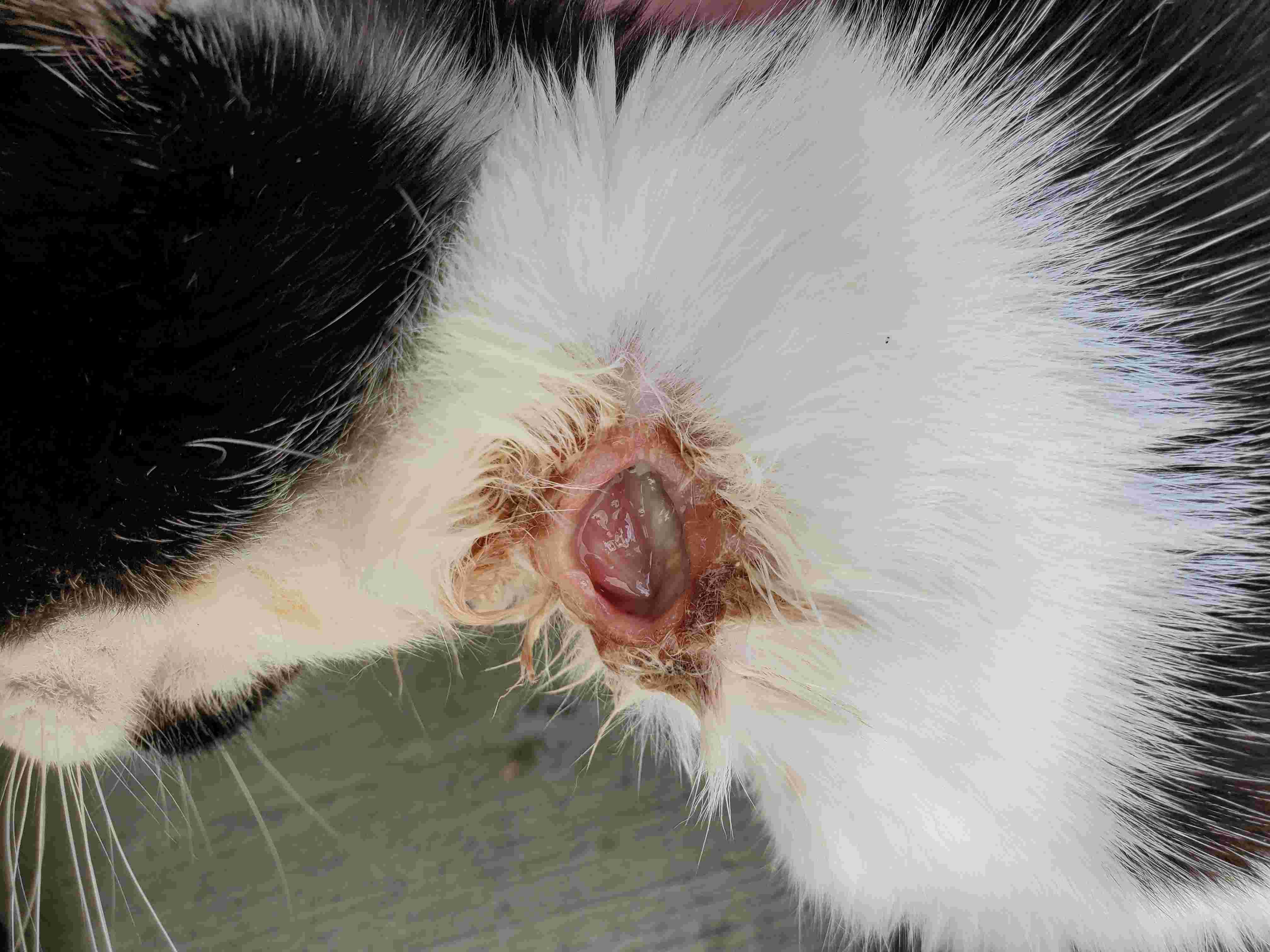 Question details sensitive content