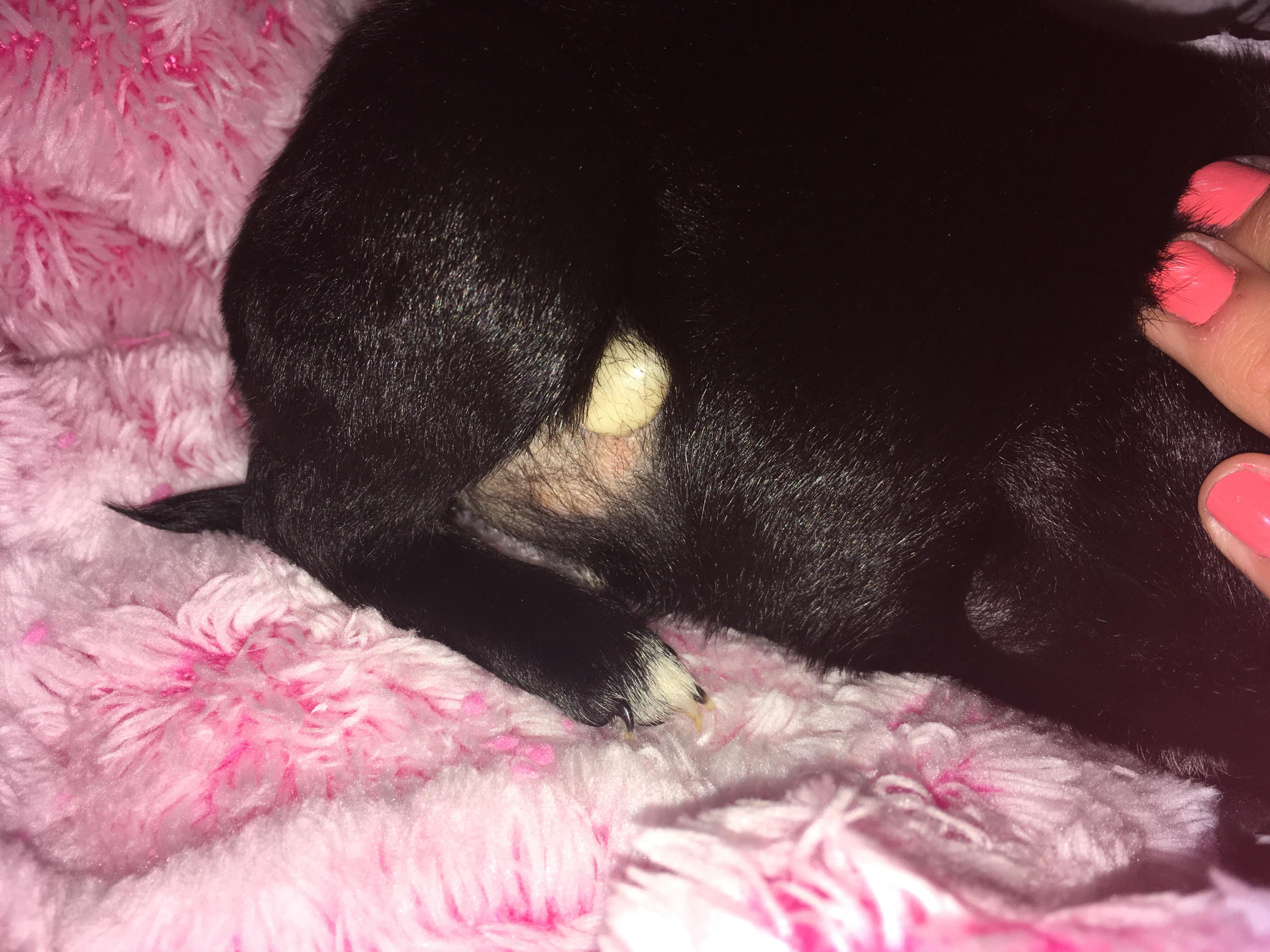 Question details sensitive content