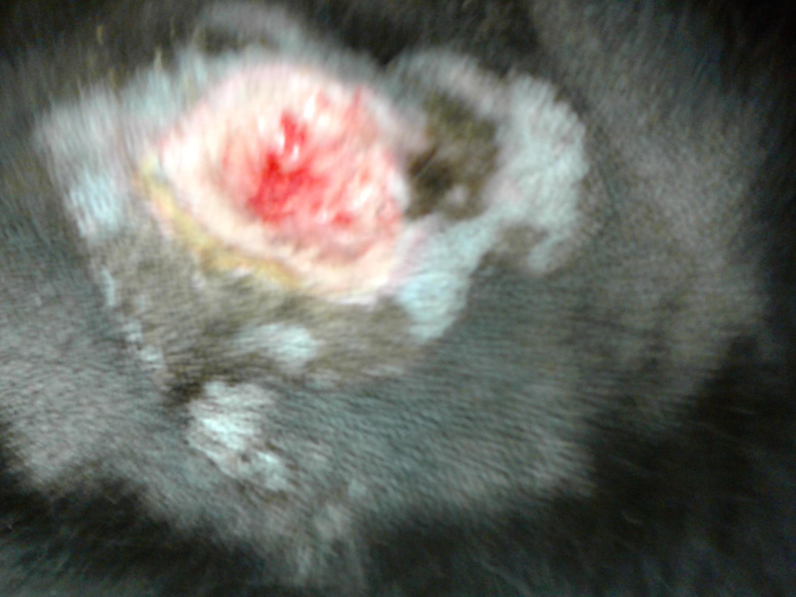 Question details sensitive content