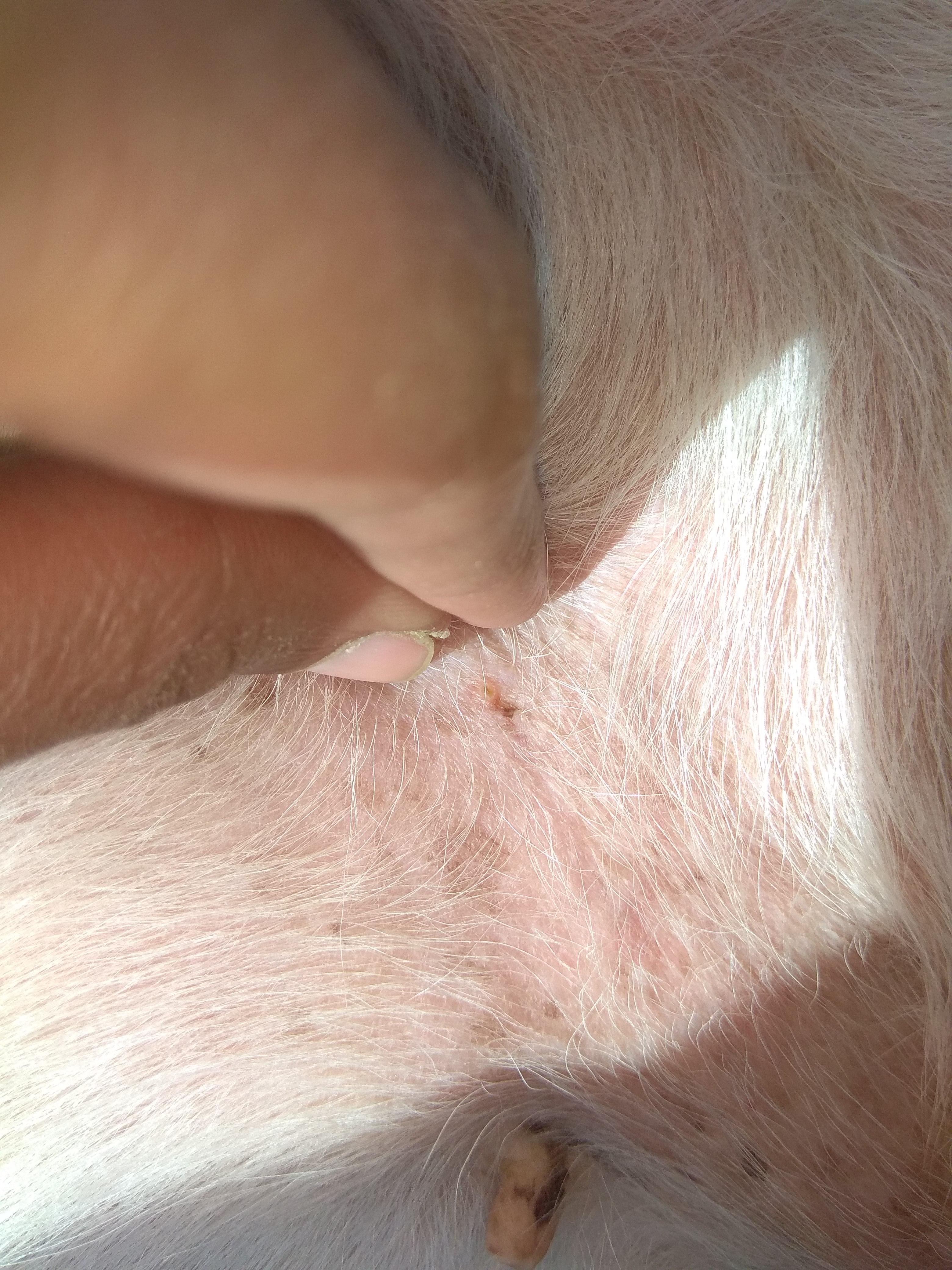 Question details sensitive content