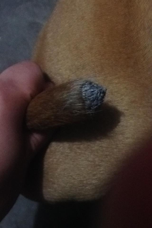 Question details sensitive content